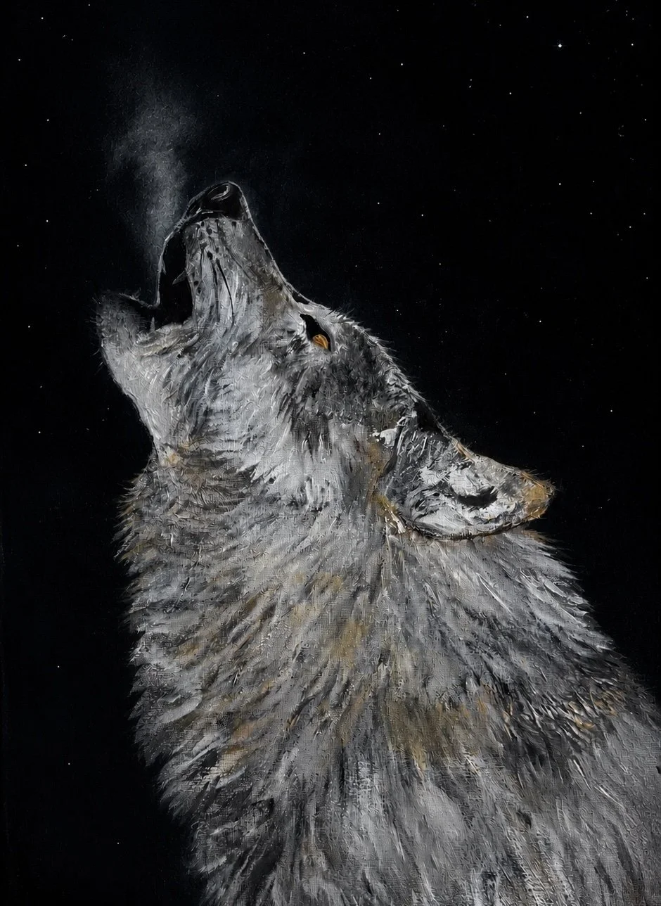 Howling wolf. 12x16. $195.00
