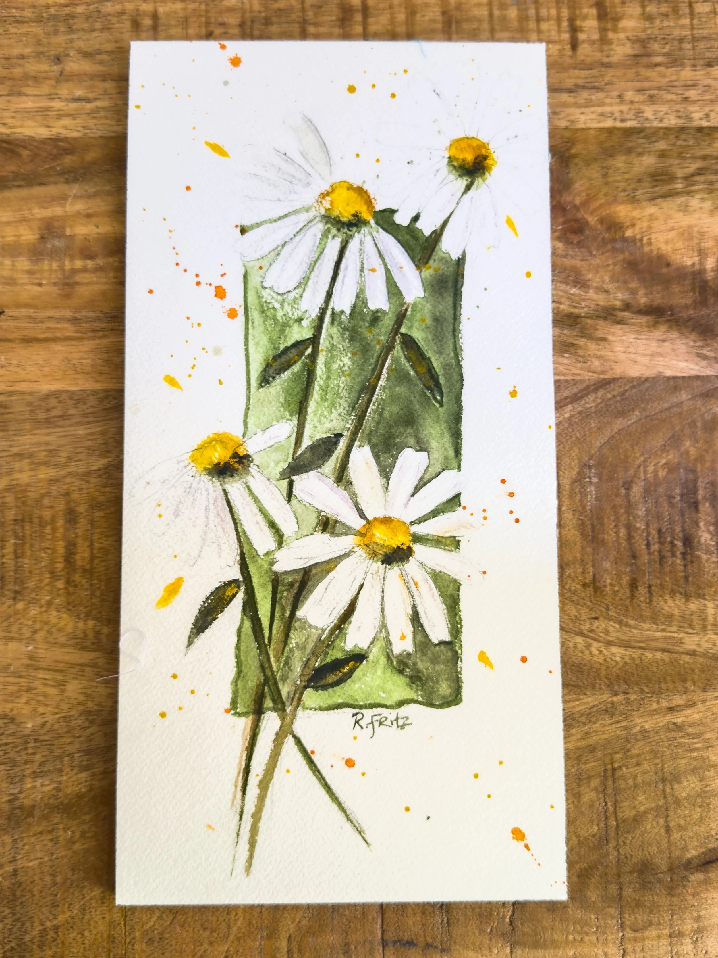 Daisy in watercolor workshop 