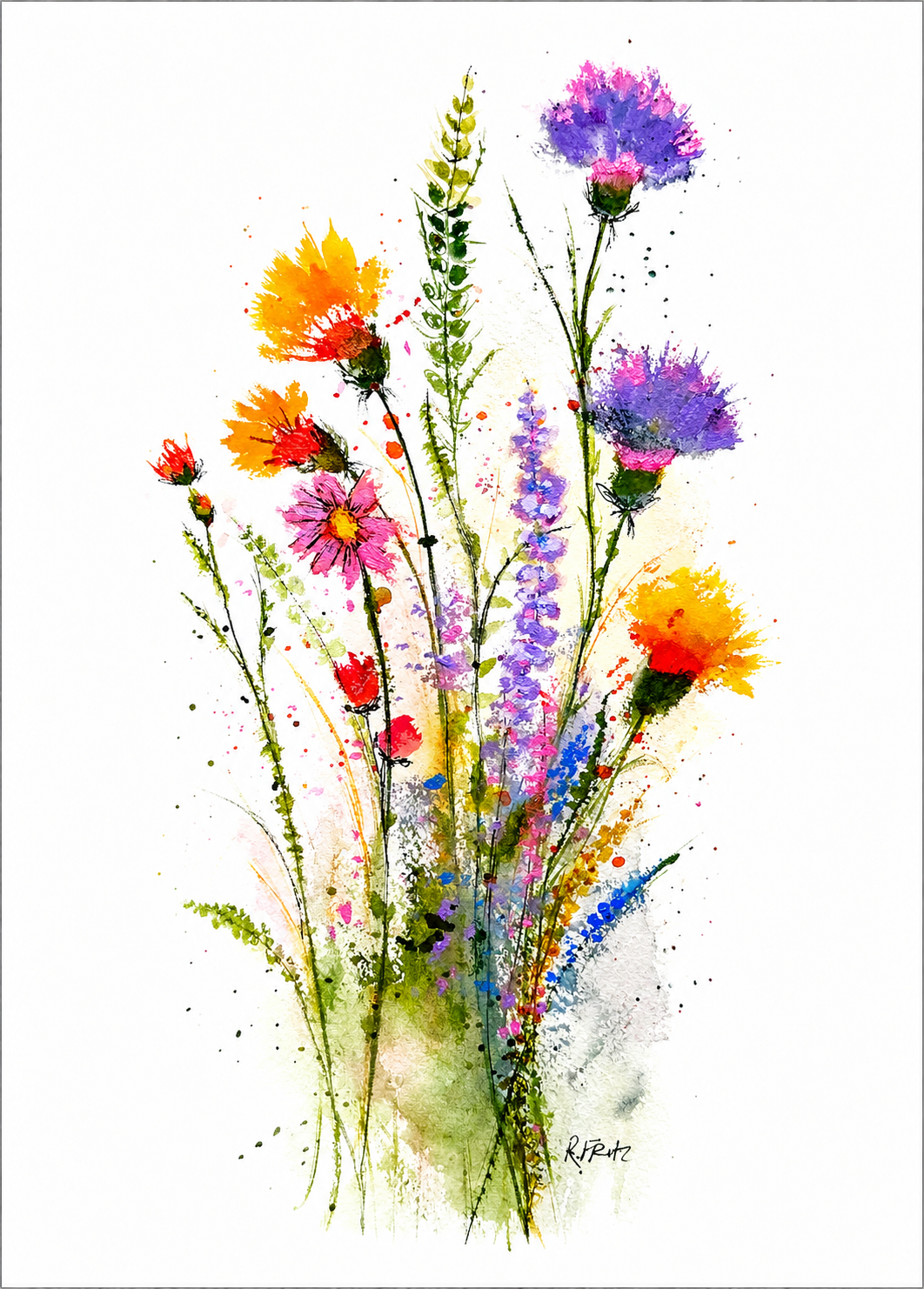 Spring/Summer Wildflower note card set