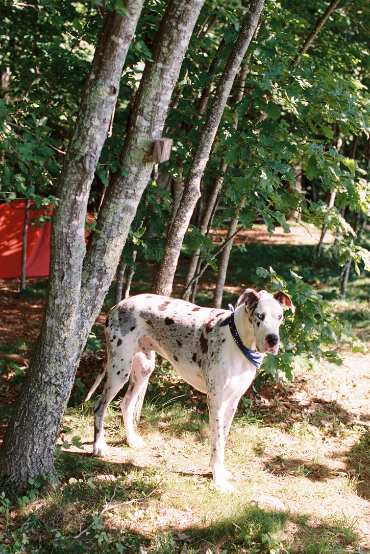 Camping2014-100.png
