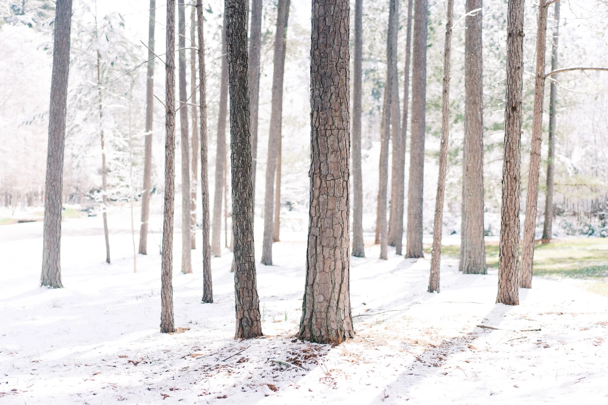 305 - Winter Rhythms