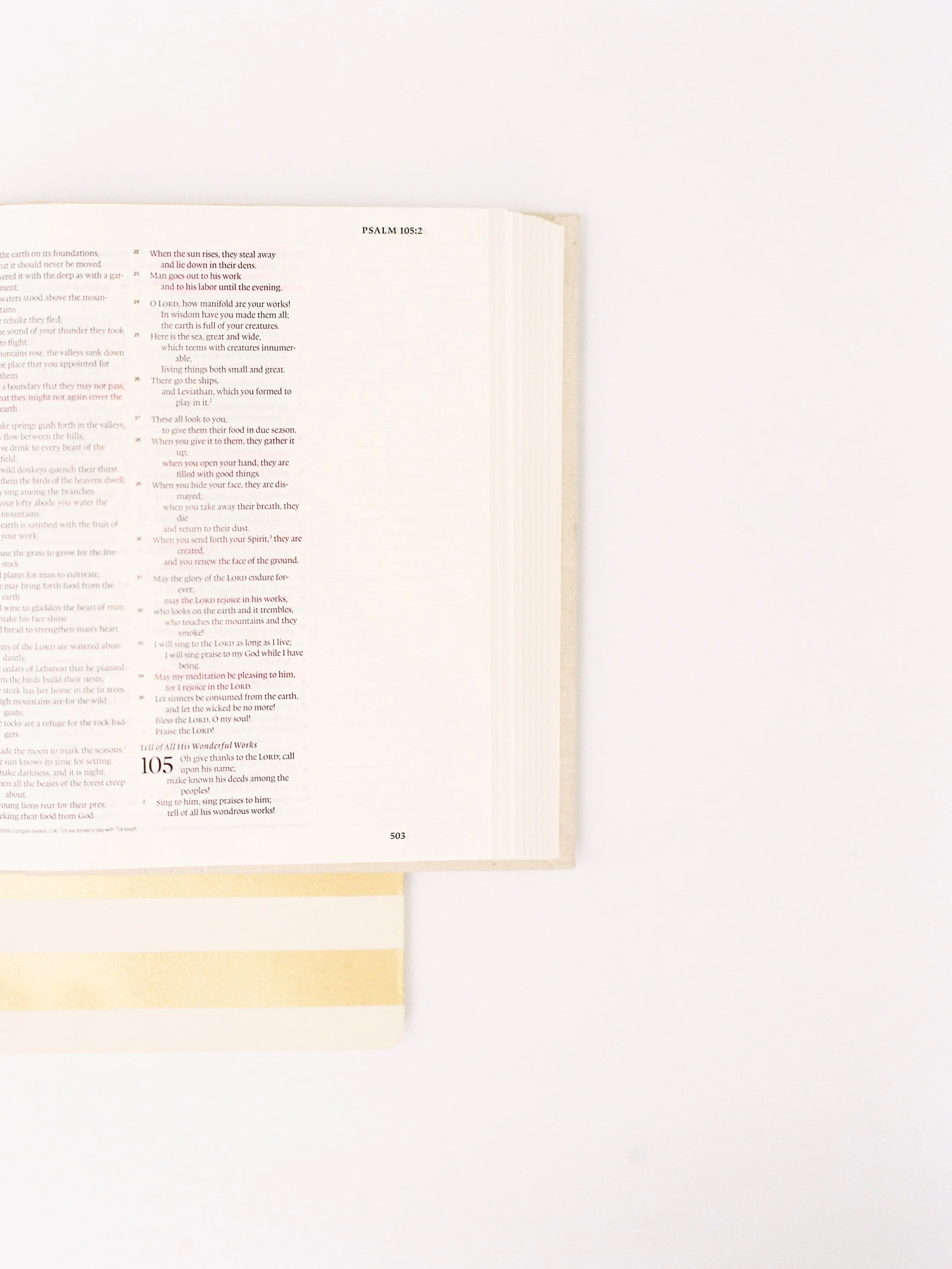 311 - 10 Things That Are Growing My Faith