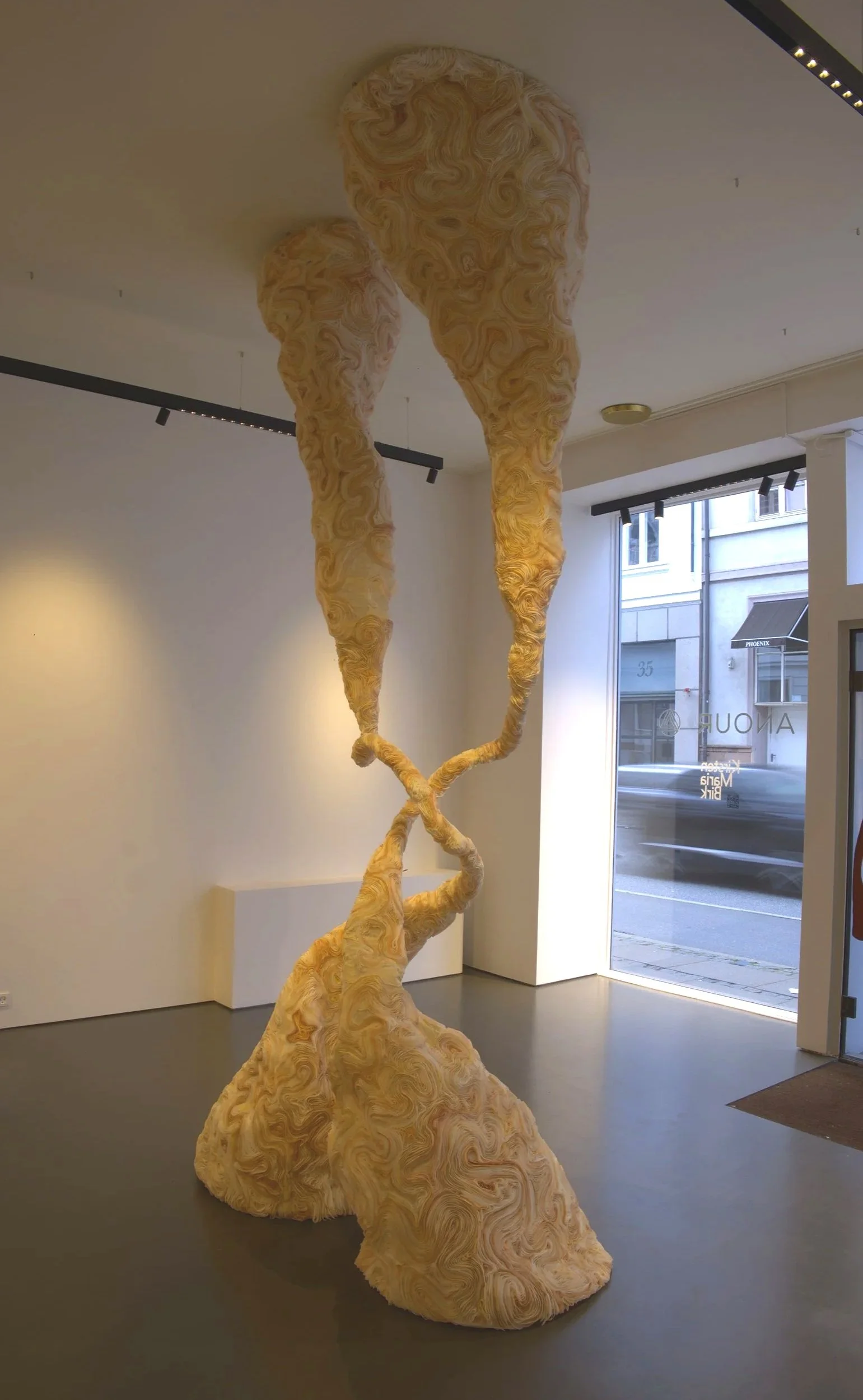DSCF6785.jpg