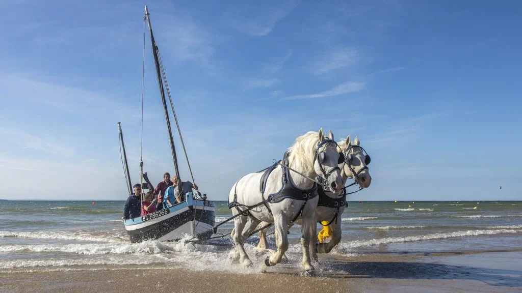 Fête du Flobart à Wissant