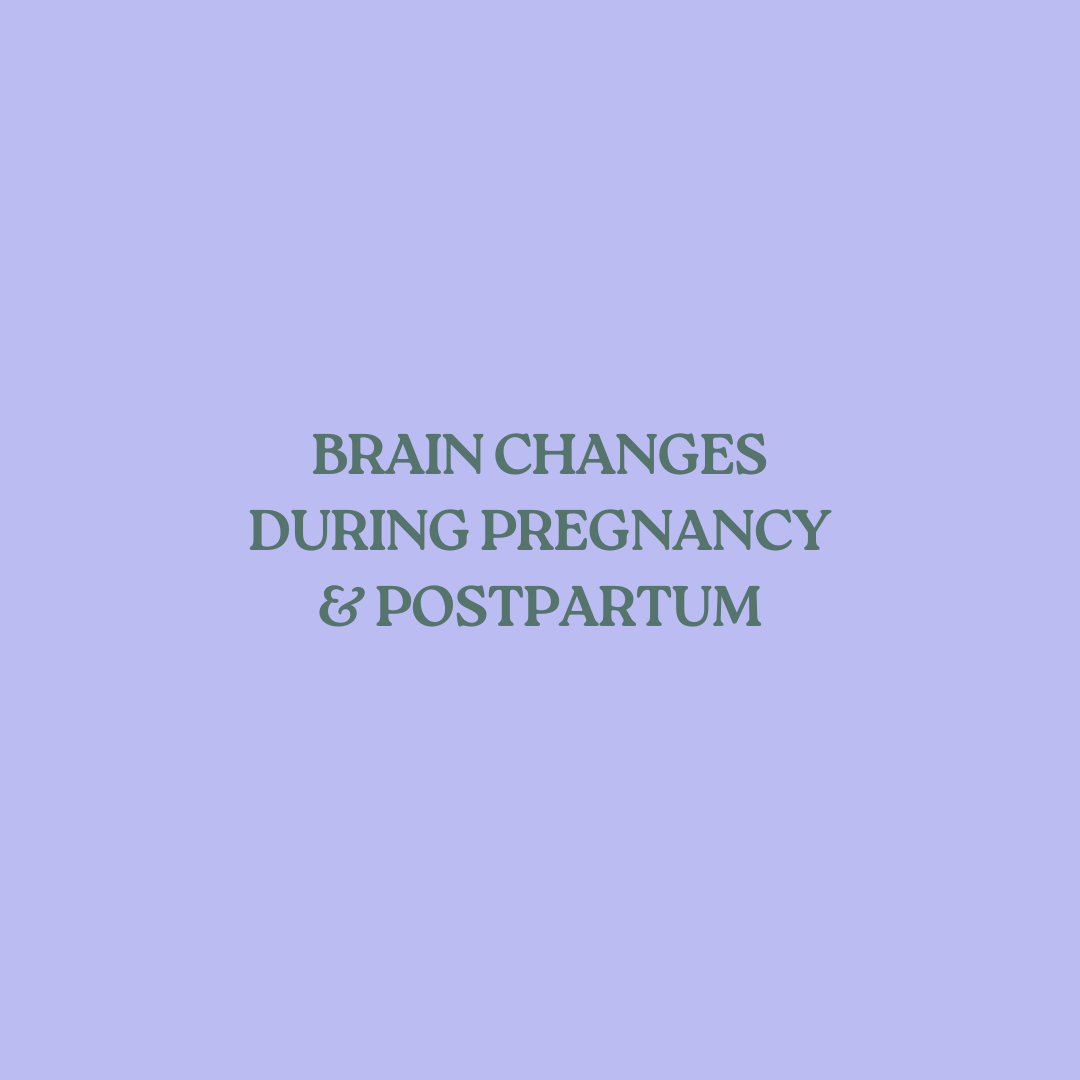 Title slide with purple background that reads 'Brain Changes During Pregnancy & Postpartum' in green text.
