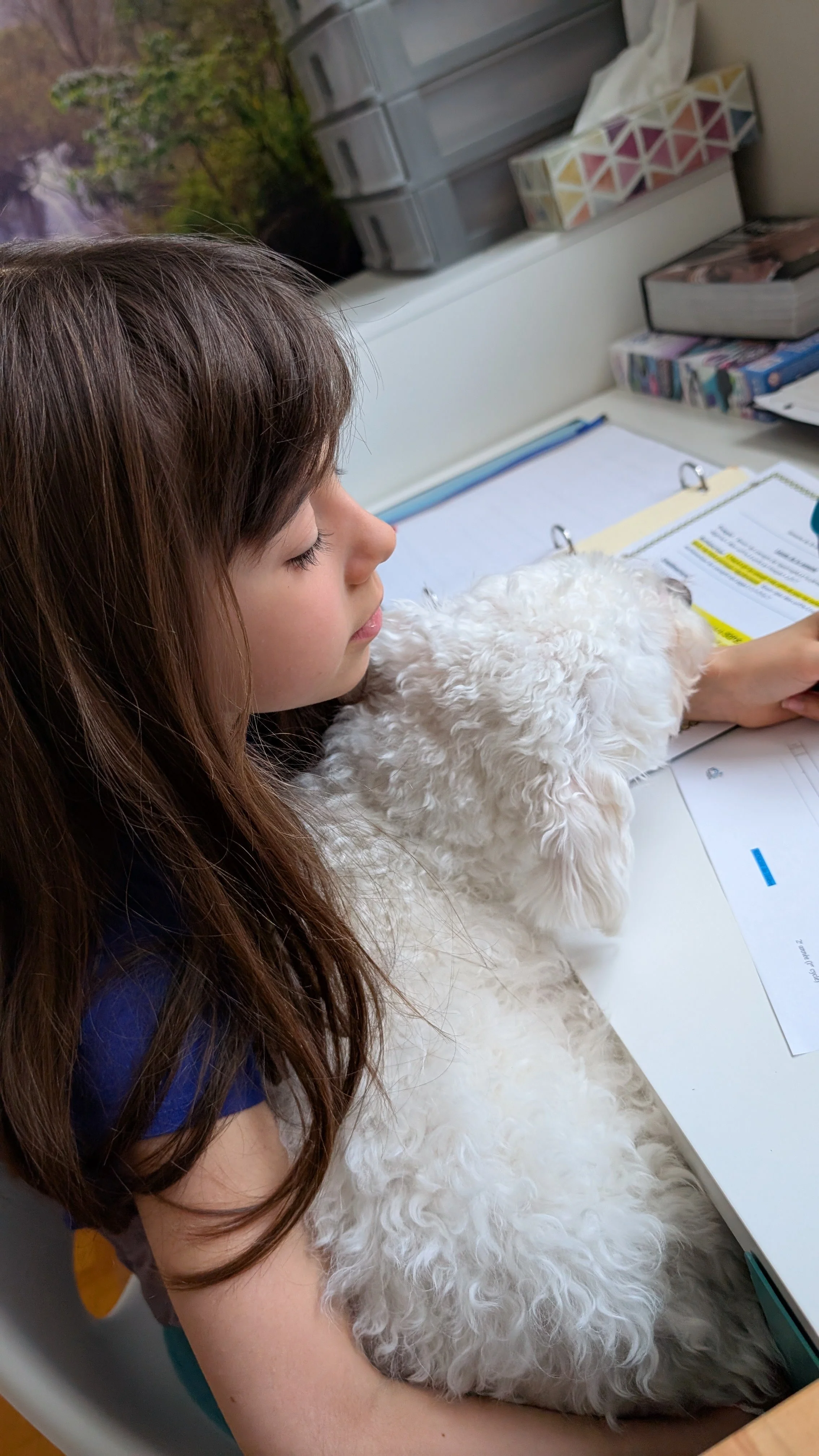 Intervention soutenue par l’animal