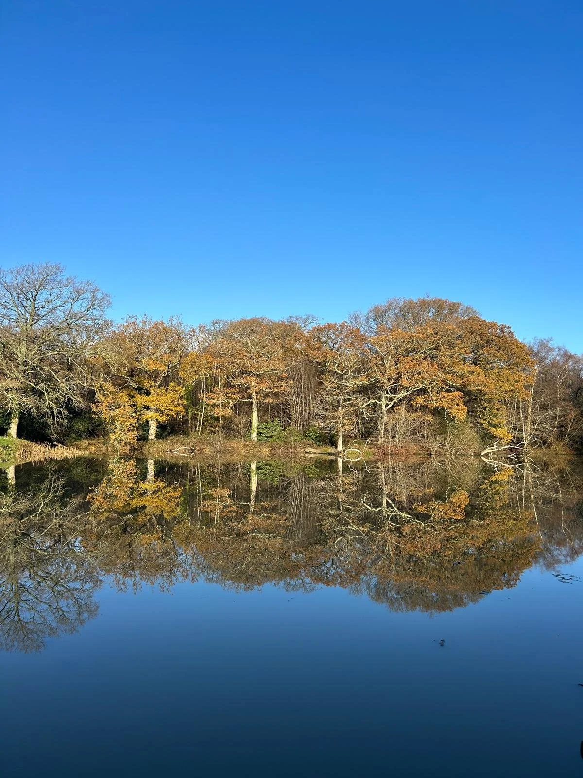 Hares Home Ed Nurture