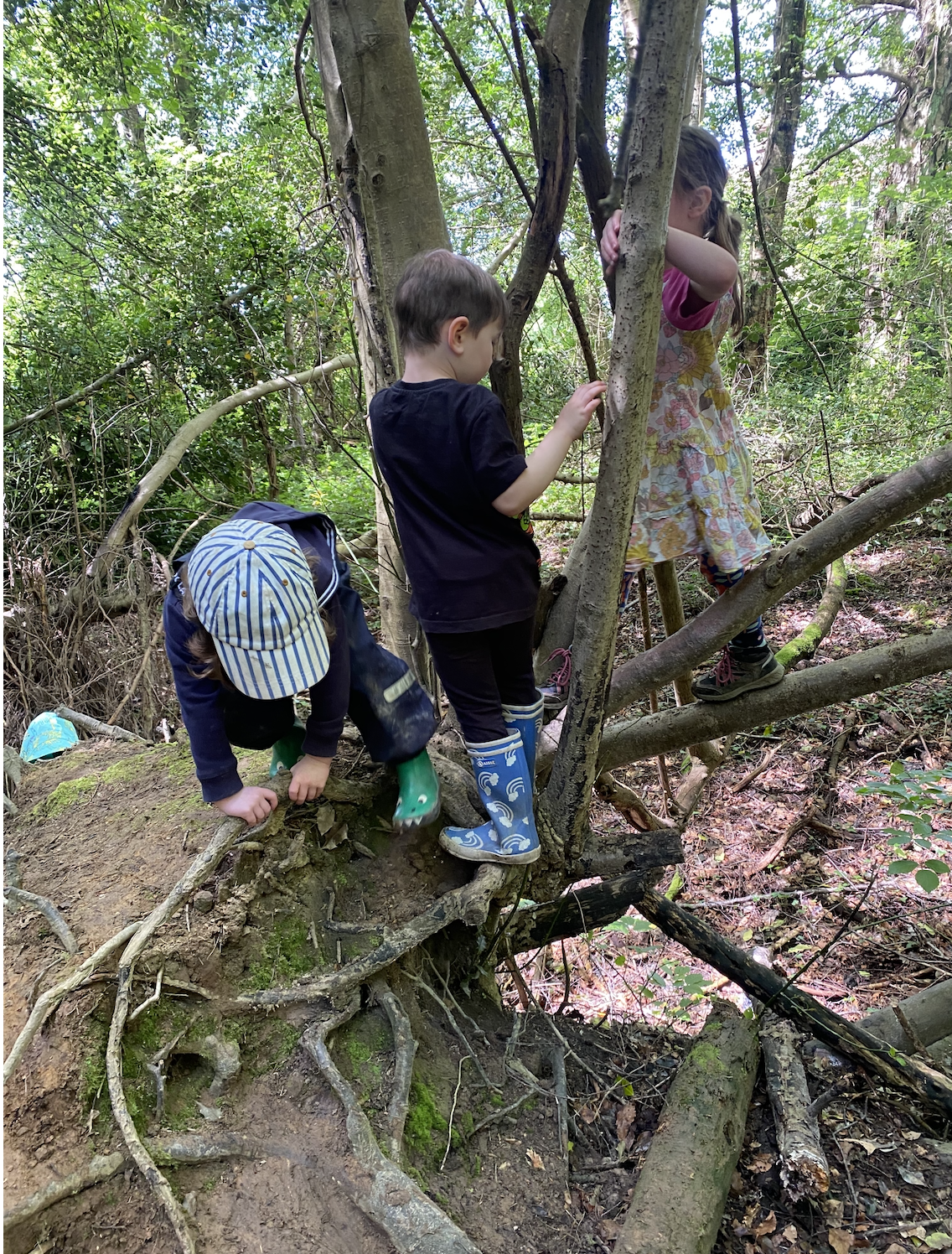 Summer Family Forest School
