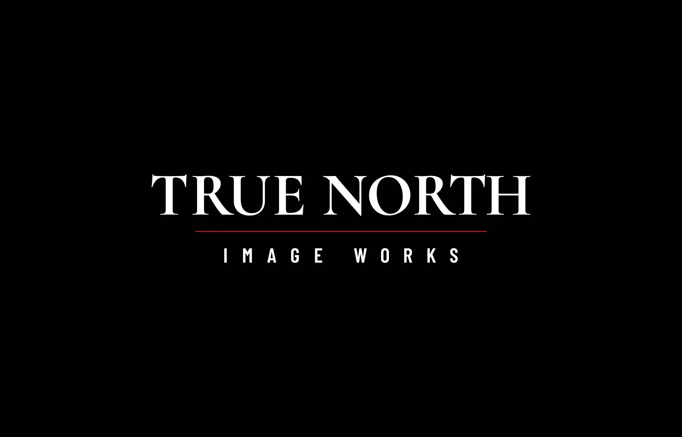 True North Image Works logo