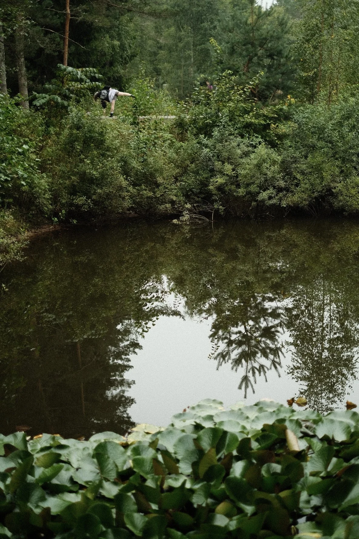 image00178.jpeg