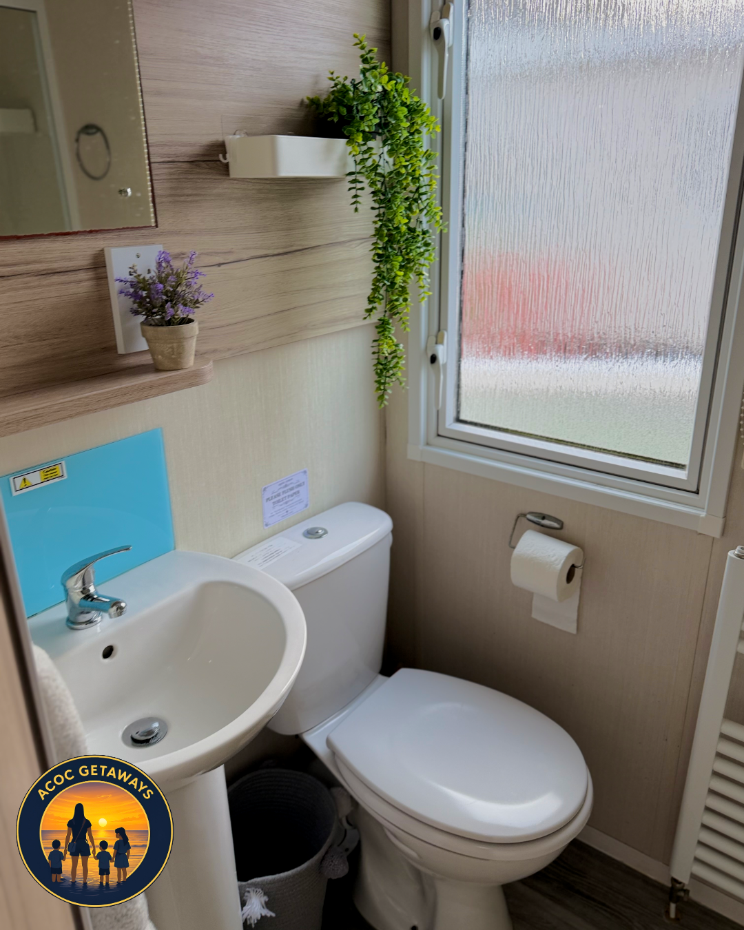 A small bathroom with a white toilet, a white sink, and a window with frosted glass. There are potted plants and a mirror above the sink.