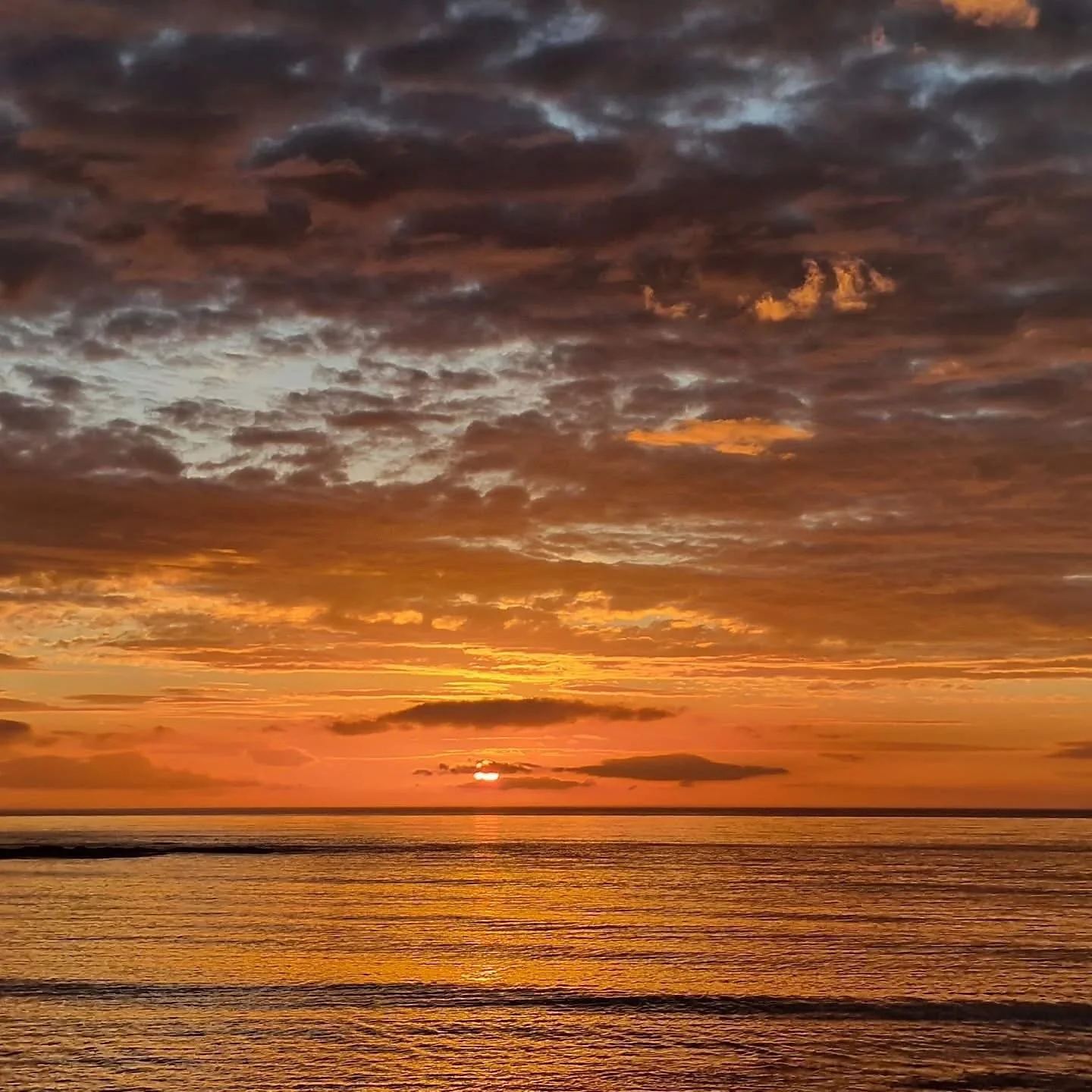 We love receiving photos and feedback from our wonderful guests! We hope you enjoy your last night&hellip; what a sunset 🌅 

Guest feedback: 

💌The beauty of an &ldquo;Out of season&rdquo; getaway, all the beaches are open to the furbaby! And you g