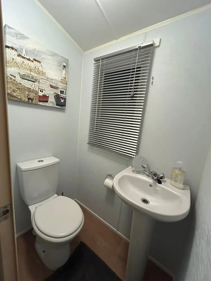 A small bathroom with a white toilet, a white pedestal sink holding soap, a bottle of hand sanitizer, a mirror, and a window with closed horizontal blinds. There's a wall-mounted painting of a coastal scene with boats, and a dark rug on a wood floor.