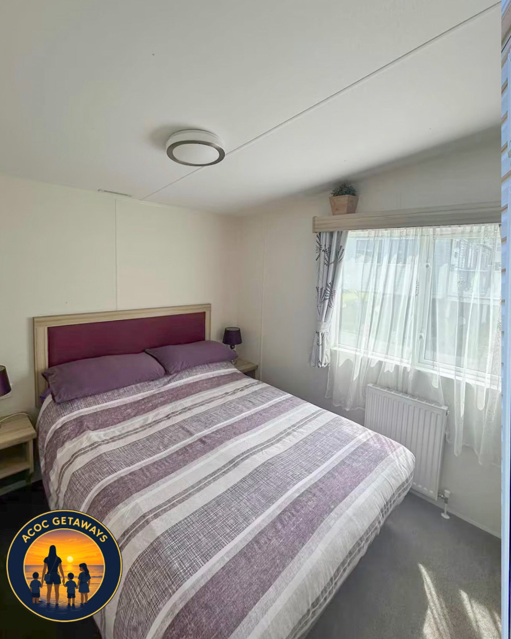 A bedroom with a large bed covered with a striped purple and beige comforter and matching pillows. There is a wooden headboard, a bedside table with a dark lamp, a window with sheer white curtains, and a potted plant above the window. A radiator is v