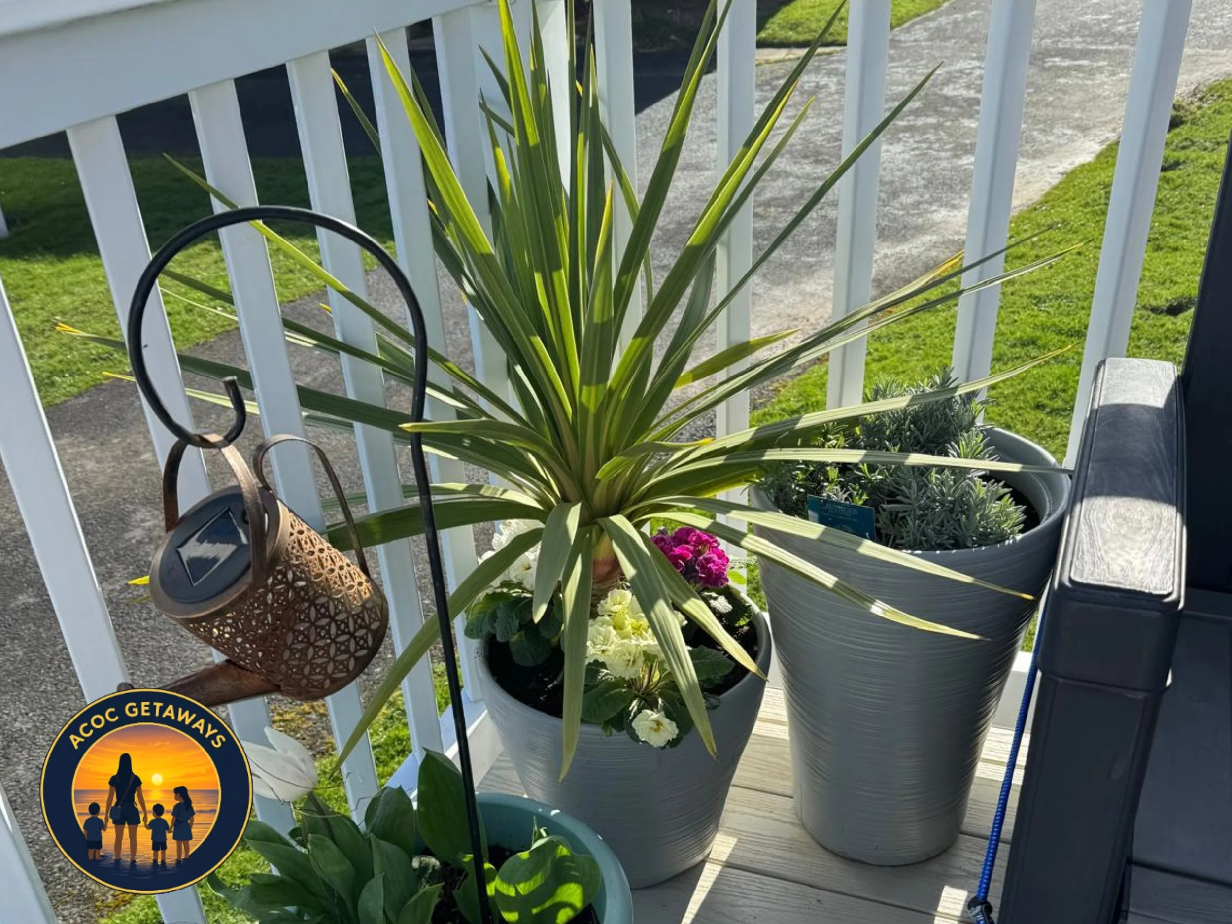 Potted green plants on a porch with white railing, with a garden and sidewalk in the background.