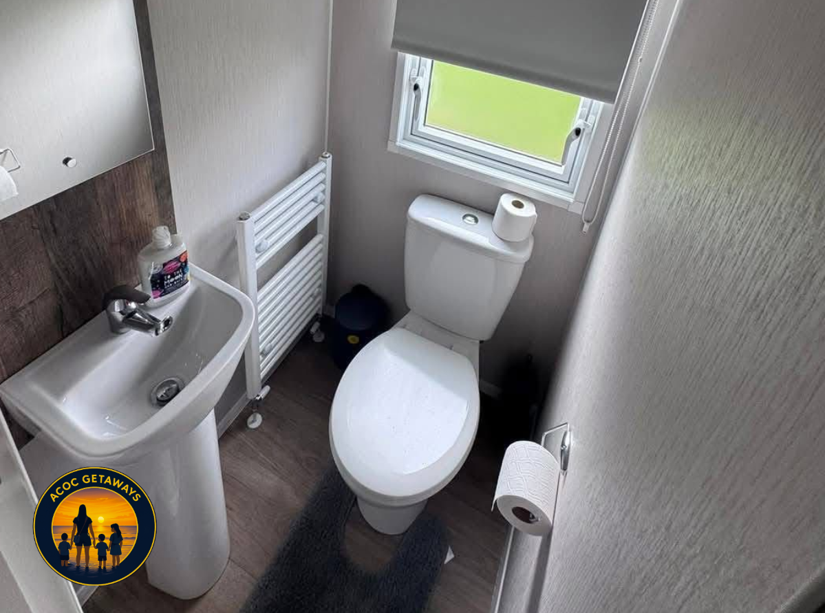 Small bathroom with a toilet, a small sink, a window with a blind, a rug, and a wall-mounted towel heater
