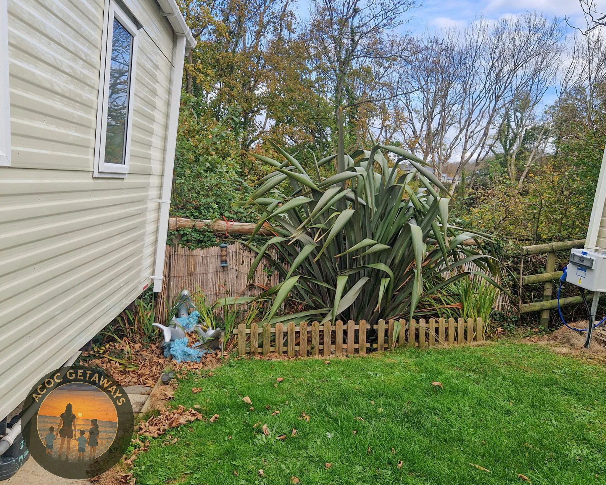 A small garden with a large, spiky plant surrounded by a wooden border next to a beige house. There is a lush green lawn in the foreground, and trees with autumn foliage in the background.