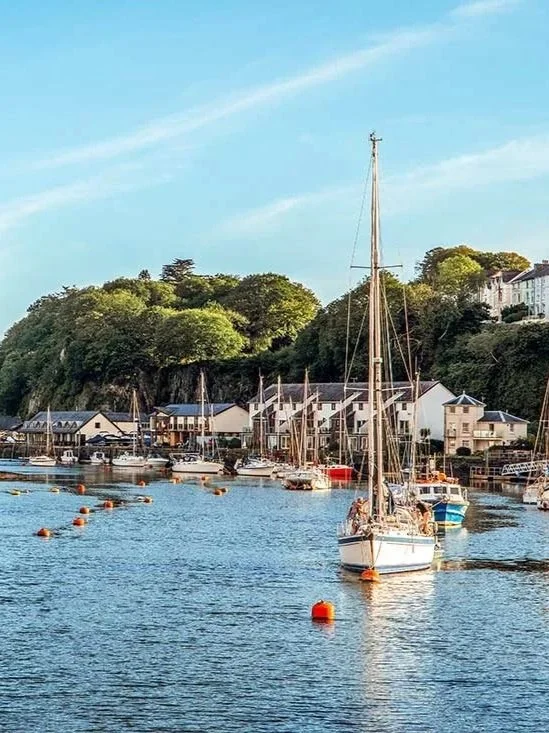 Boats docked in a harbor with white buildings and green trees on a hillside, under a partly cloudy blue sky.