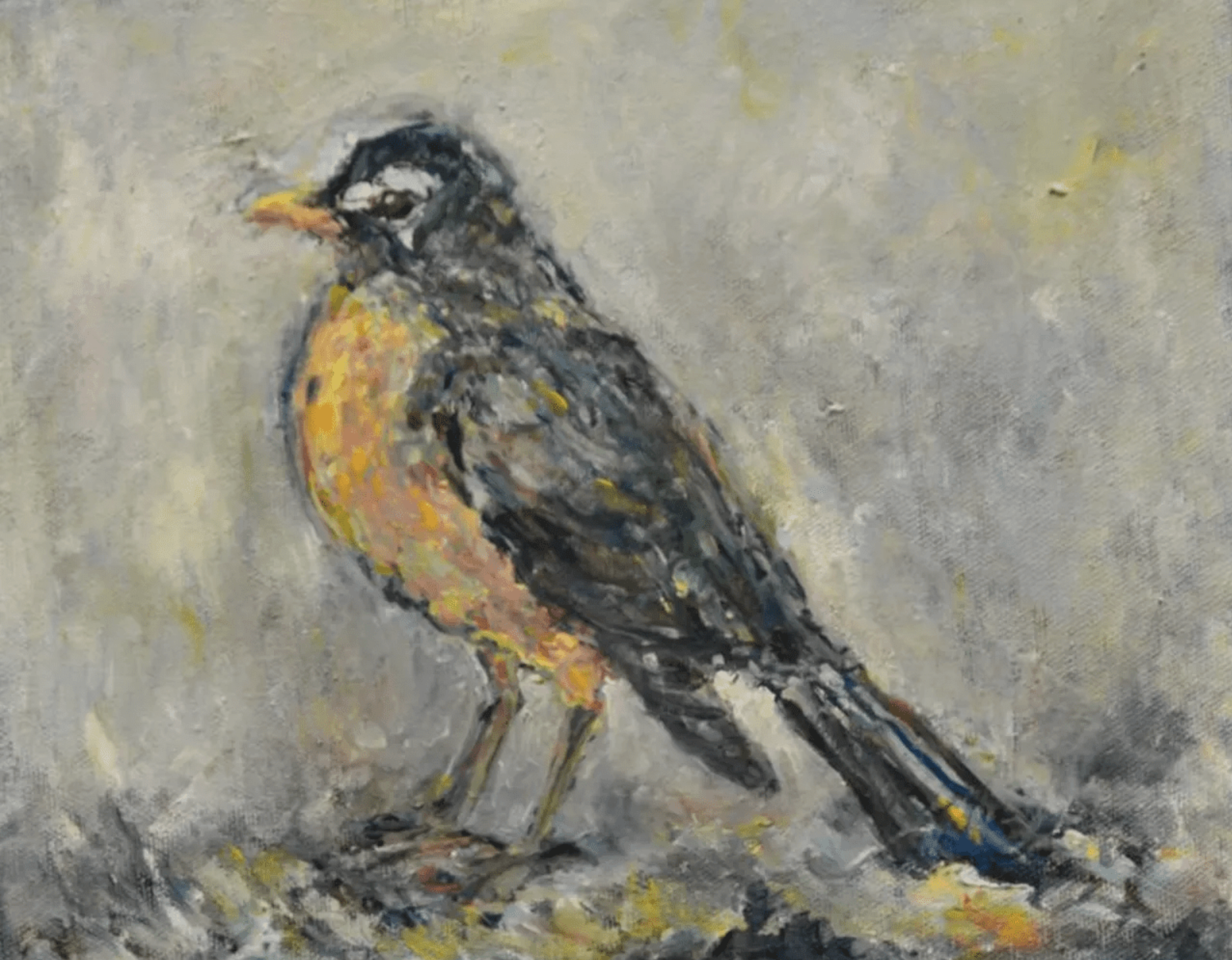 Robin