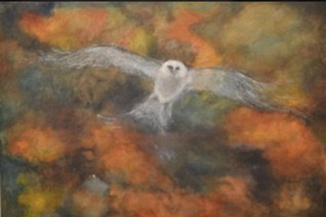 Night Owl