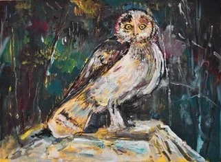 Omani Owl 18x24