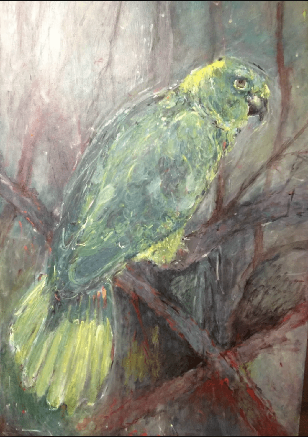 Amazon Parrot