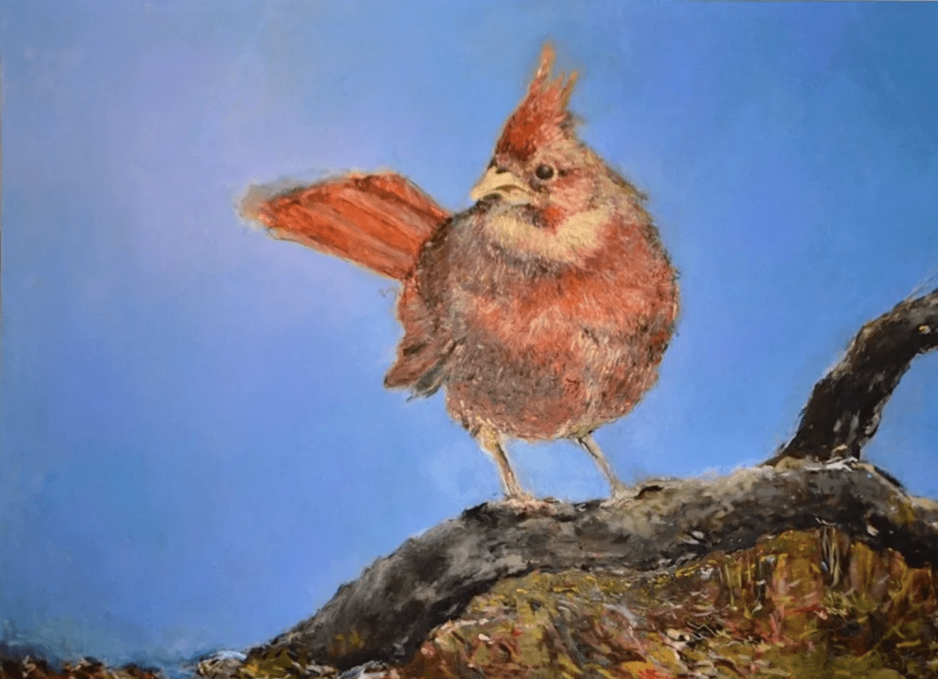 The Cardinal, 2016