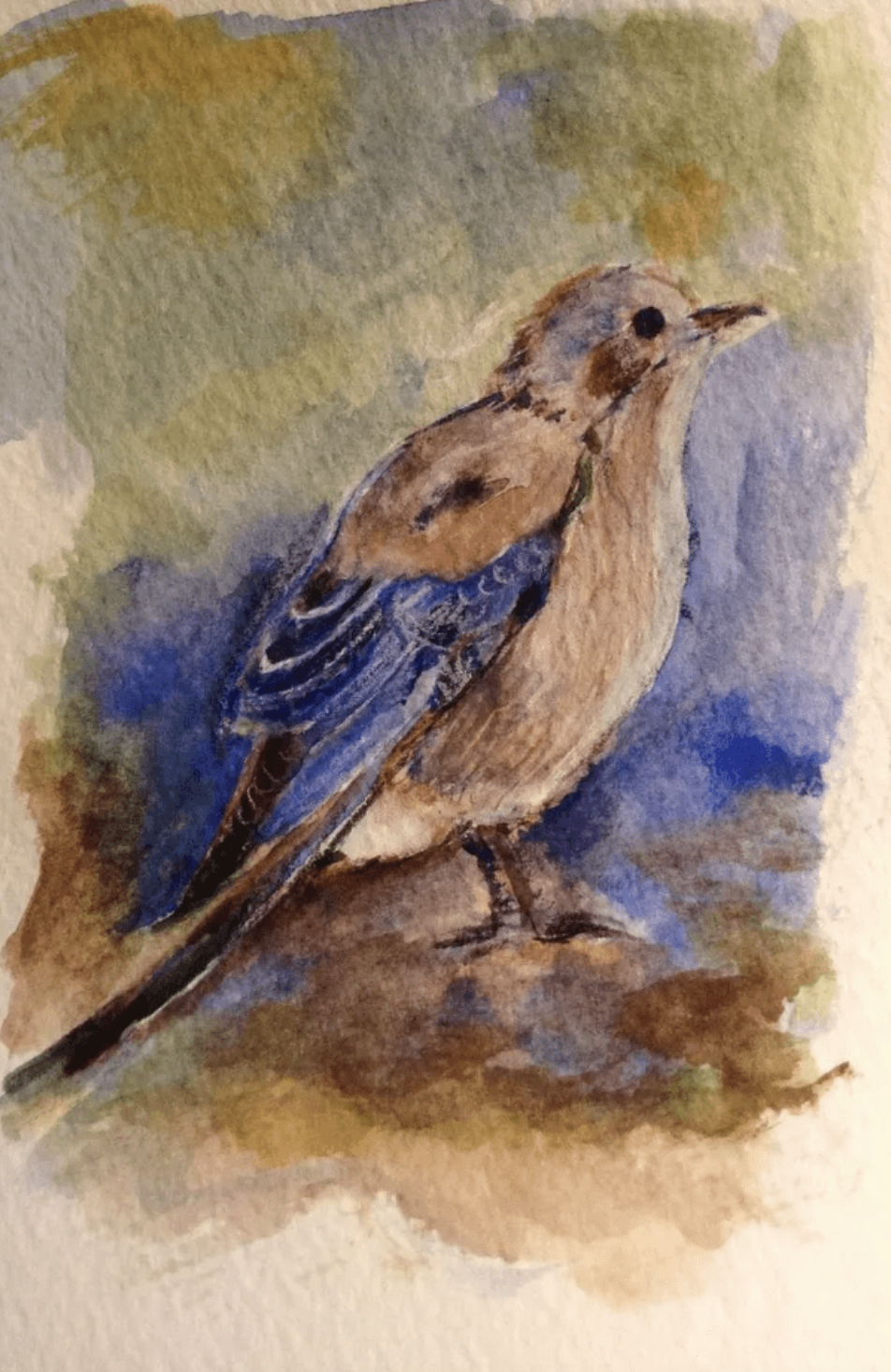 Bird 1