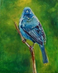Blue Bird 20X16