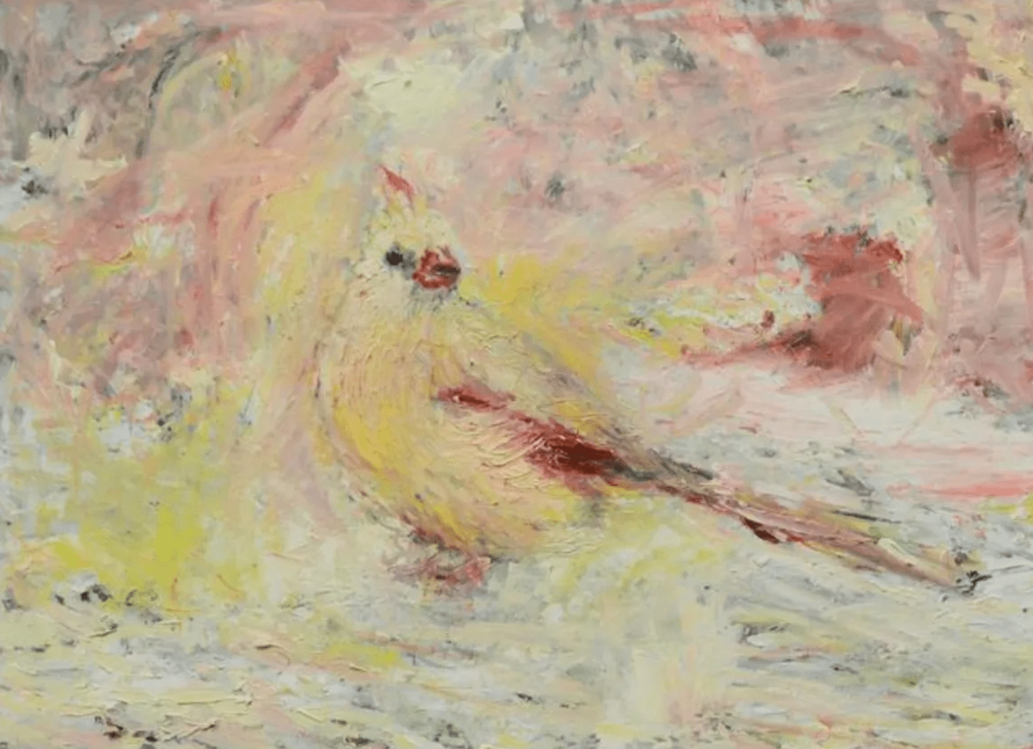 Snow Bird, 2014