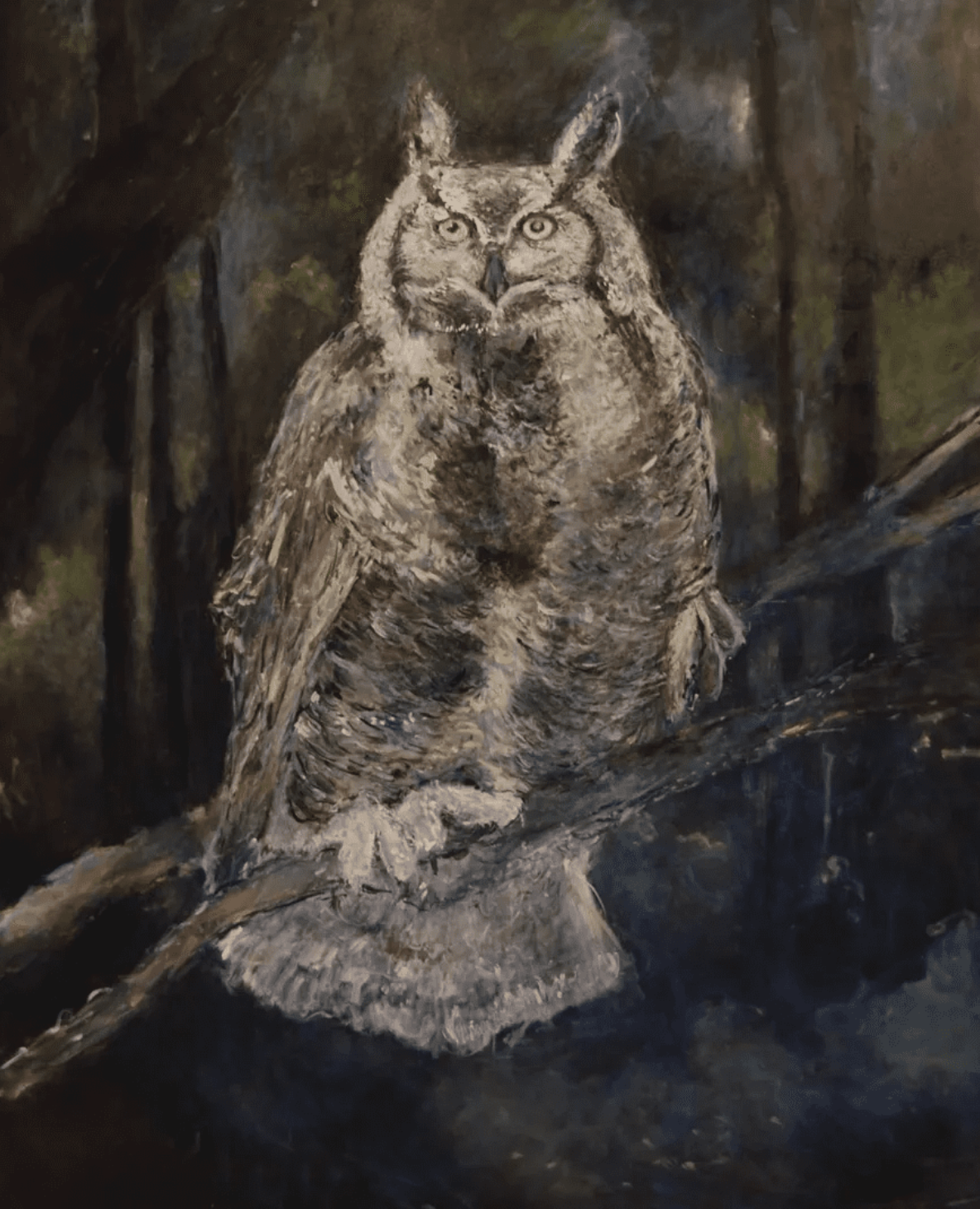 Owl, 2014