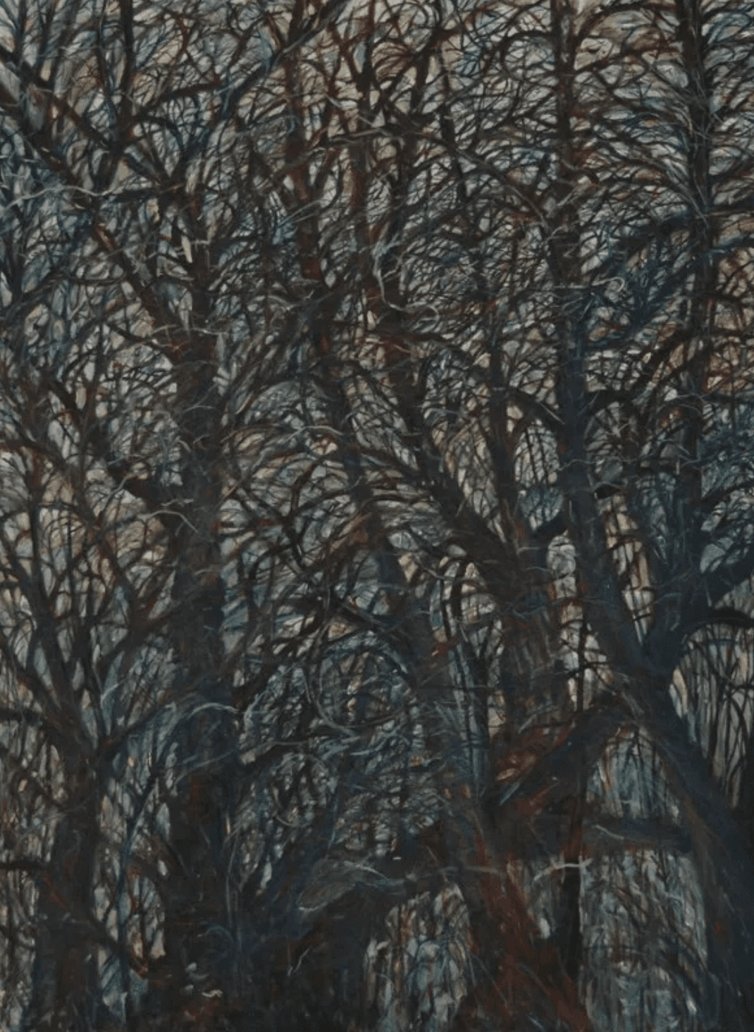 Windy Trees, 2010