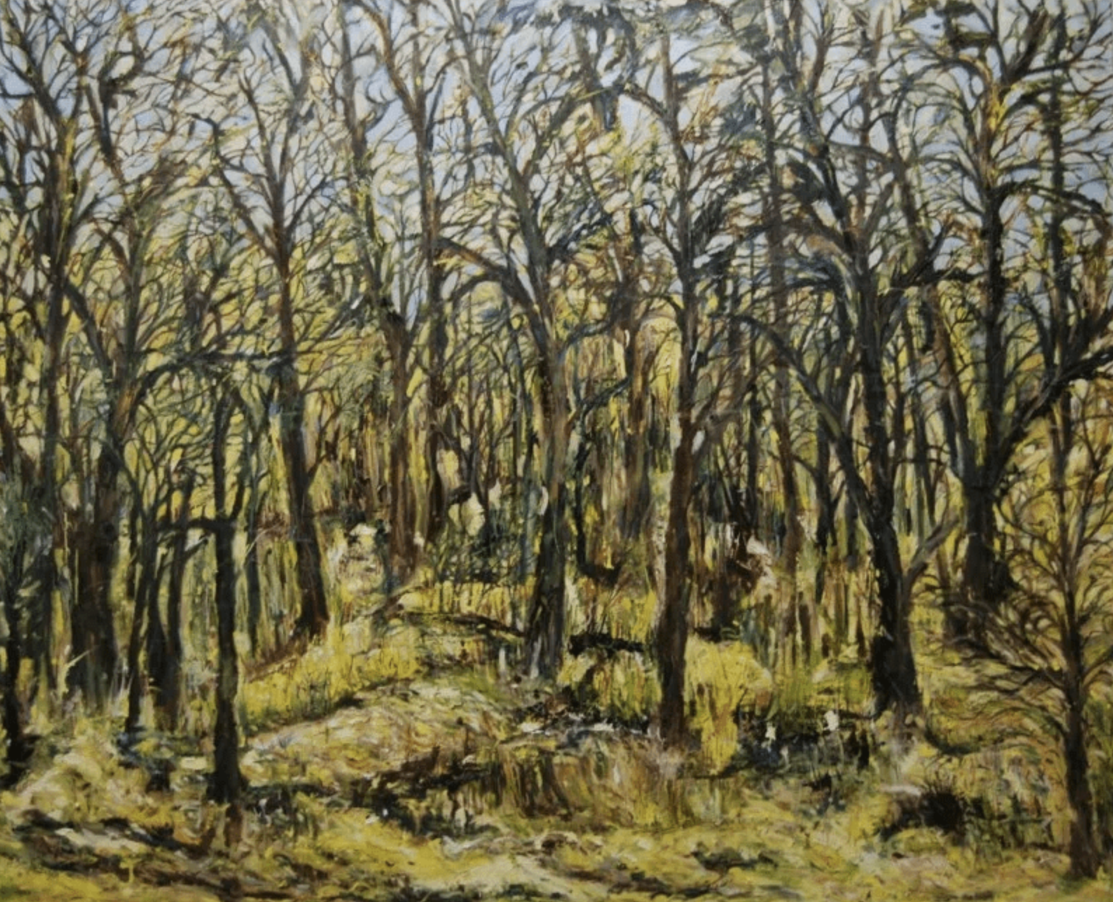 Landscape 6