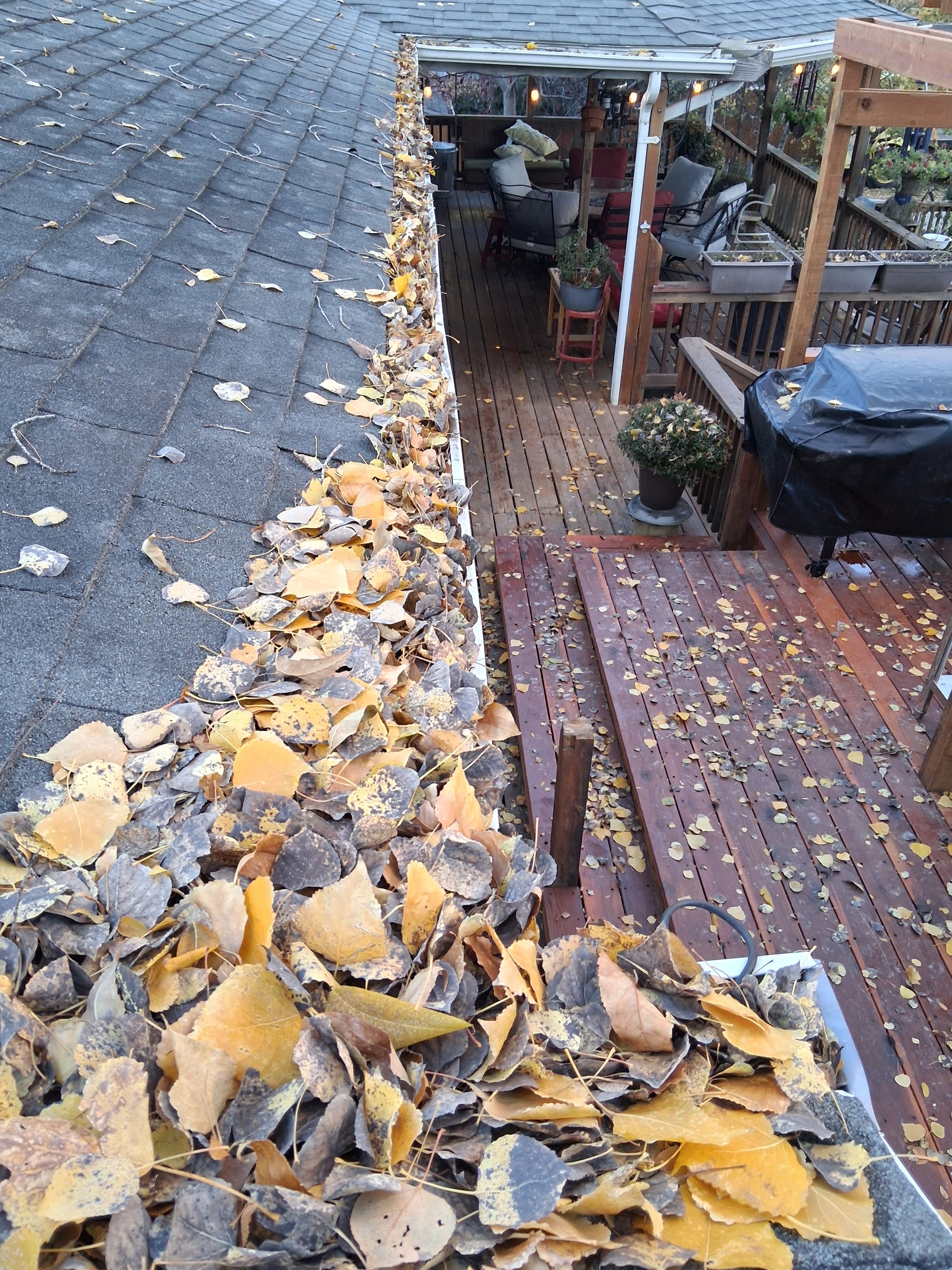 Backyard deck area with fall leaves scattered on the wooden deck and leaves accumulated along the gutter of the roof.