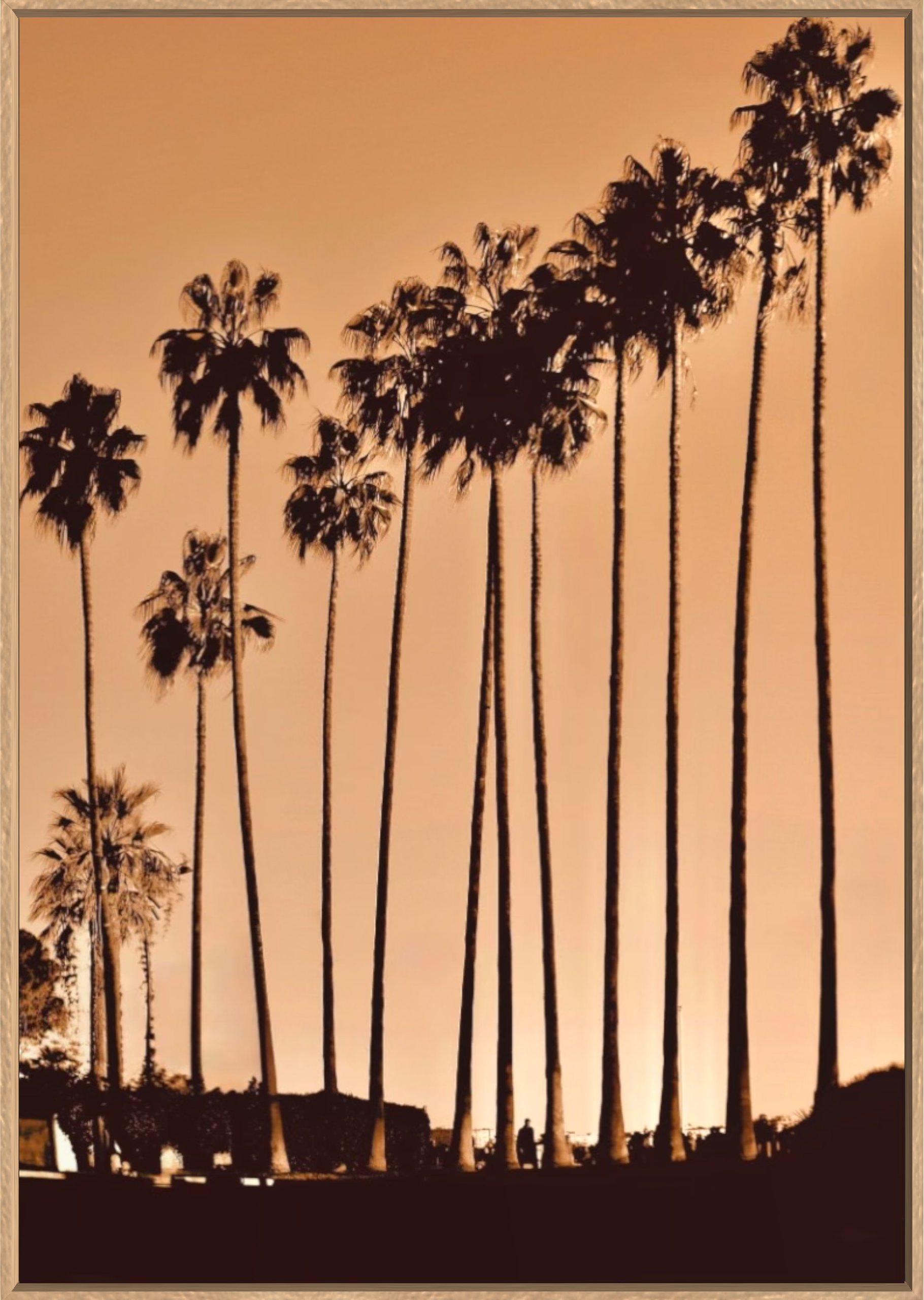 GOLDEN PALMS Available in Print Only 100x70cm