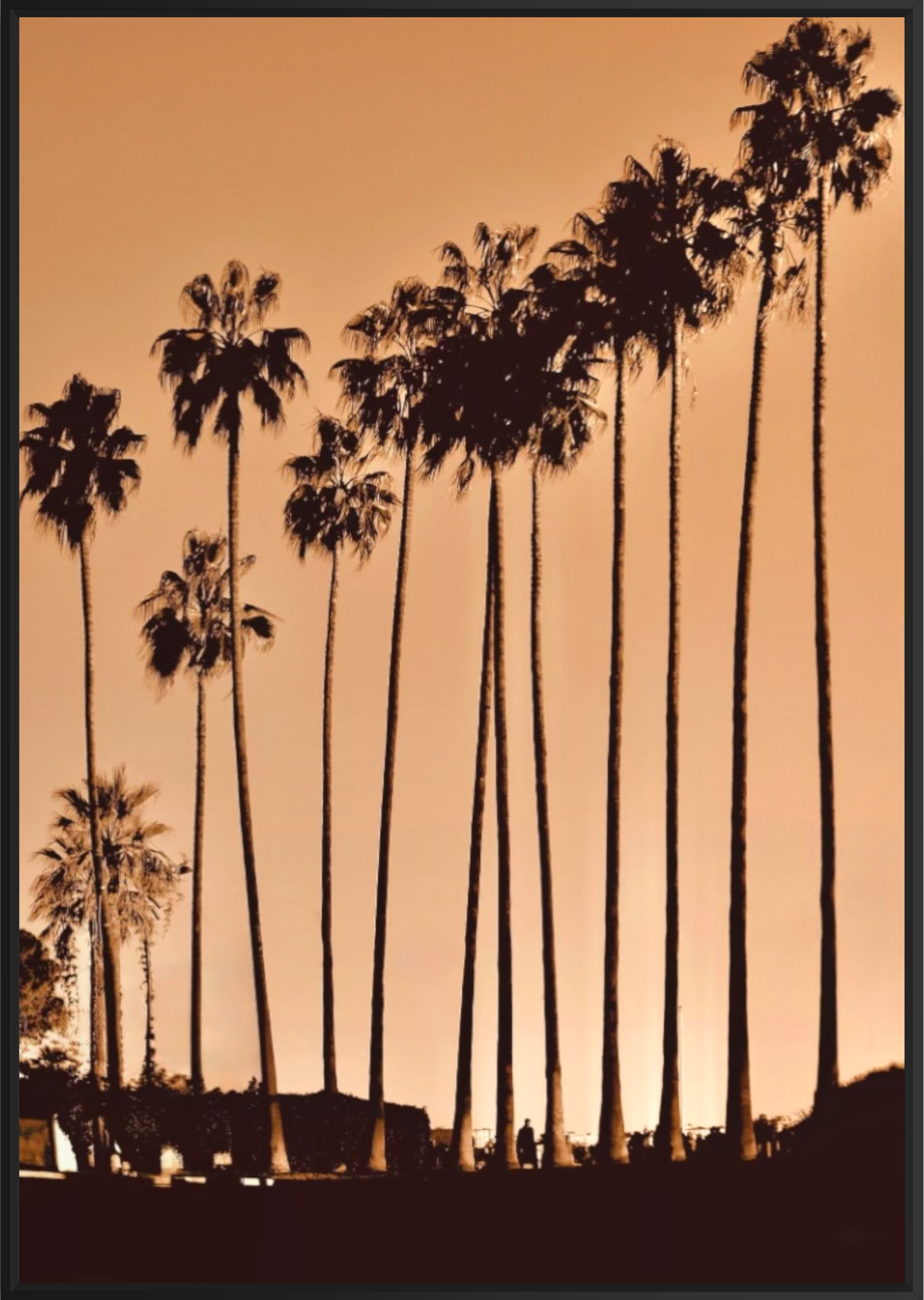 GoldenPalmsBlack.png