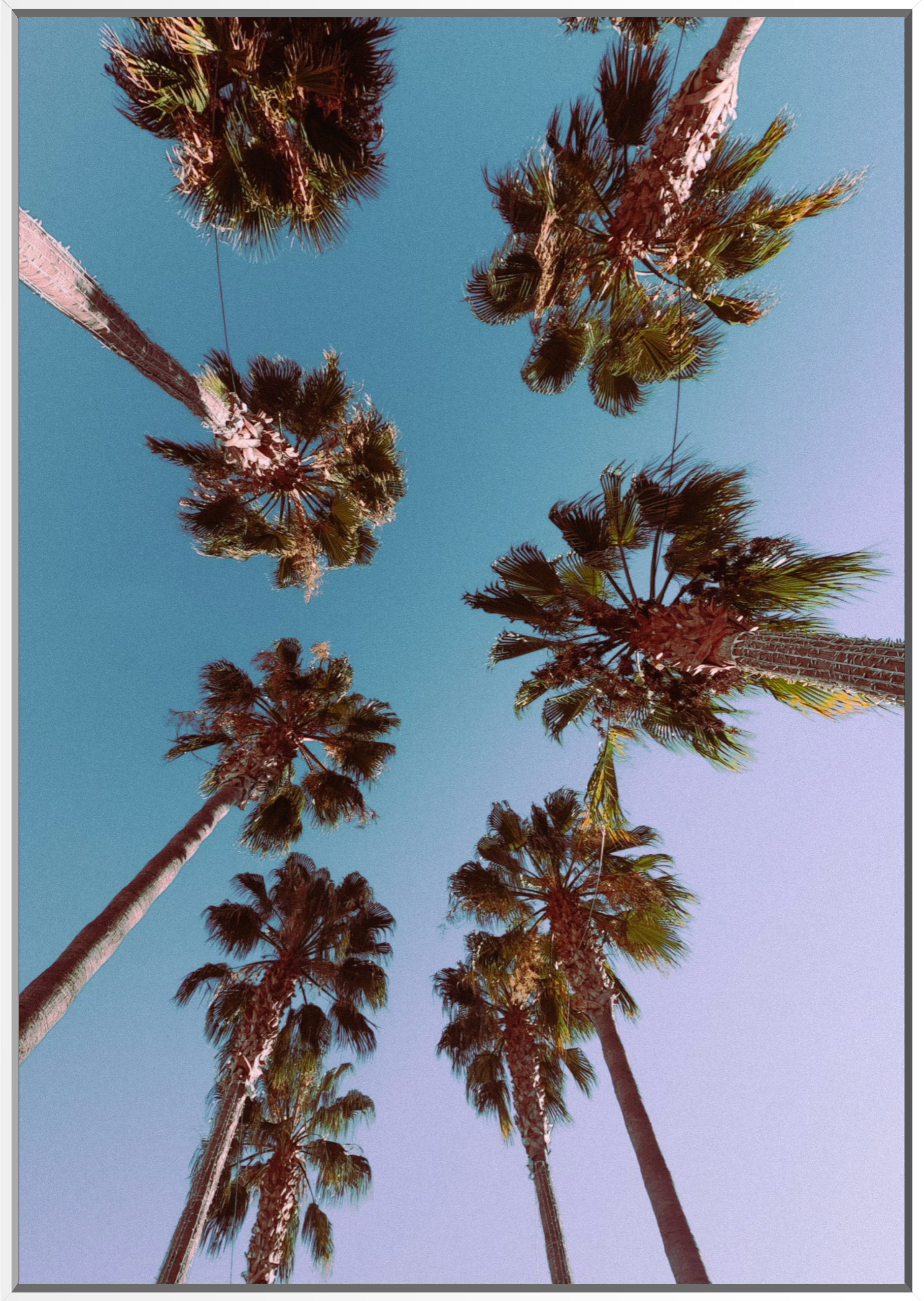 LookUpWhite.png