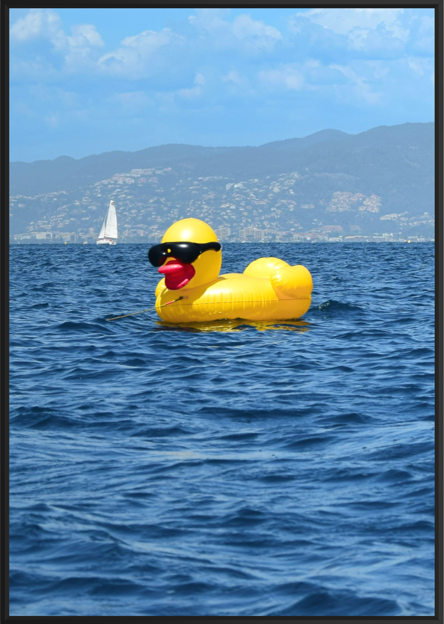 DuckBlack.png