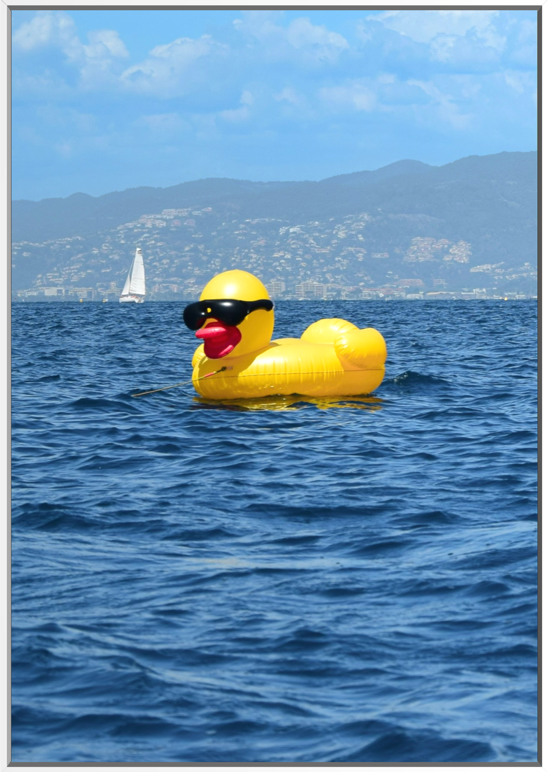 DuckWhite.png