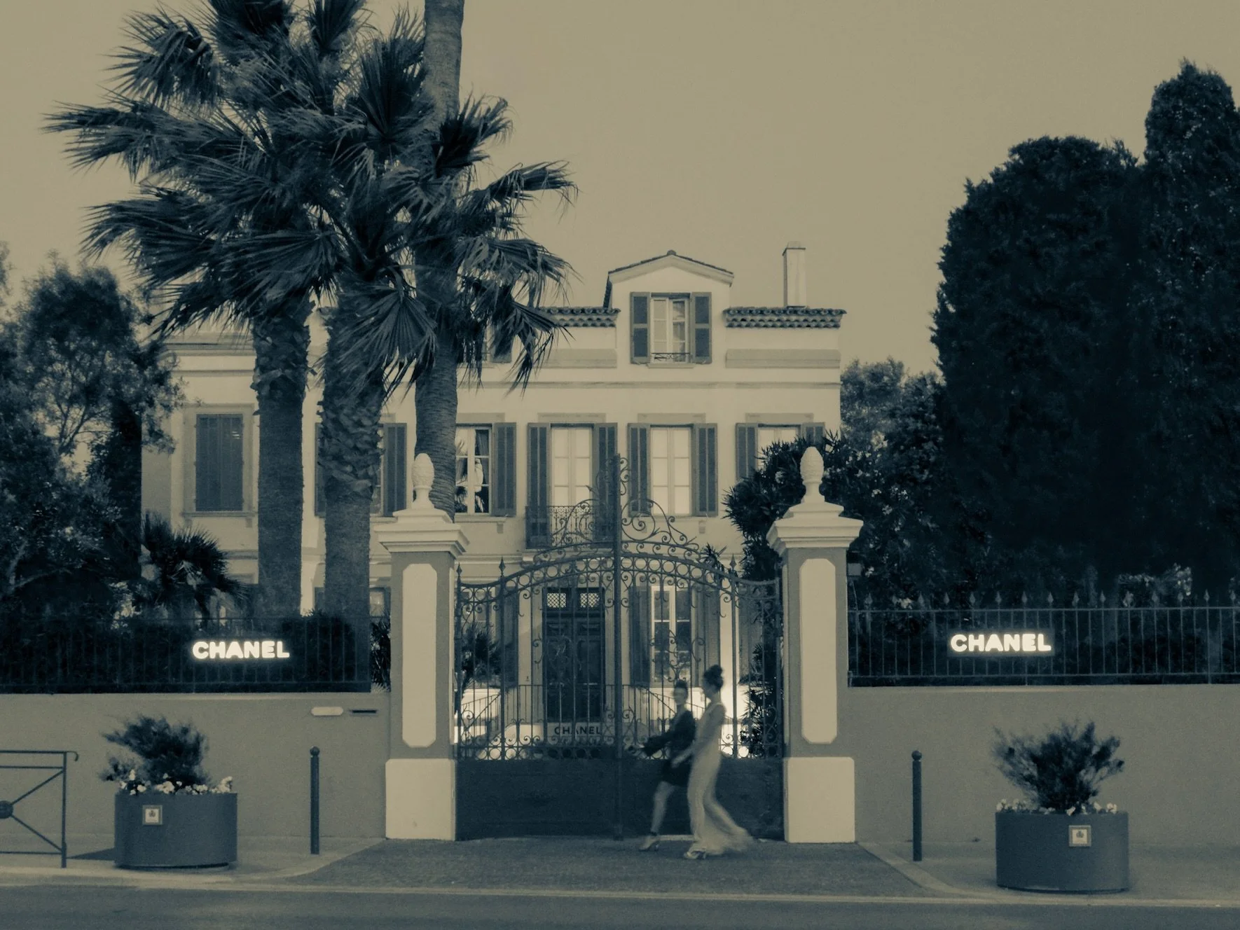 CHANEL NIGHTS from 195€