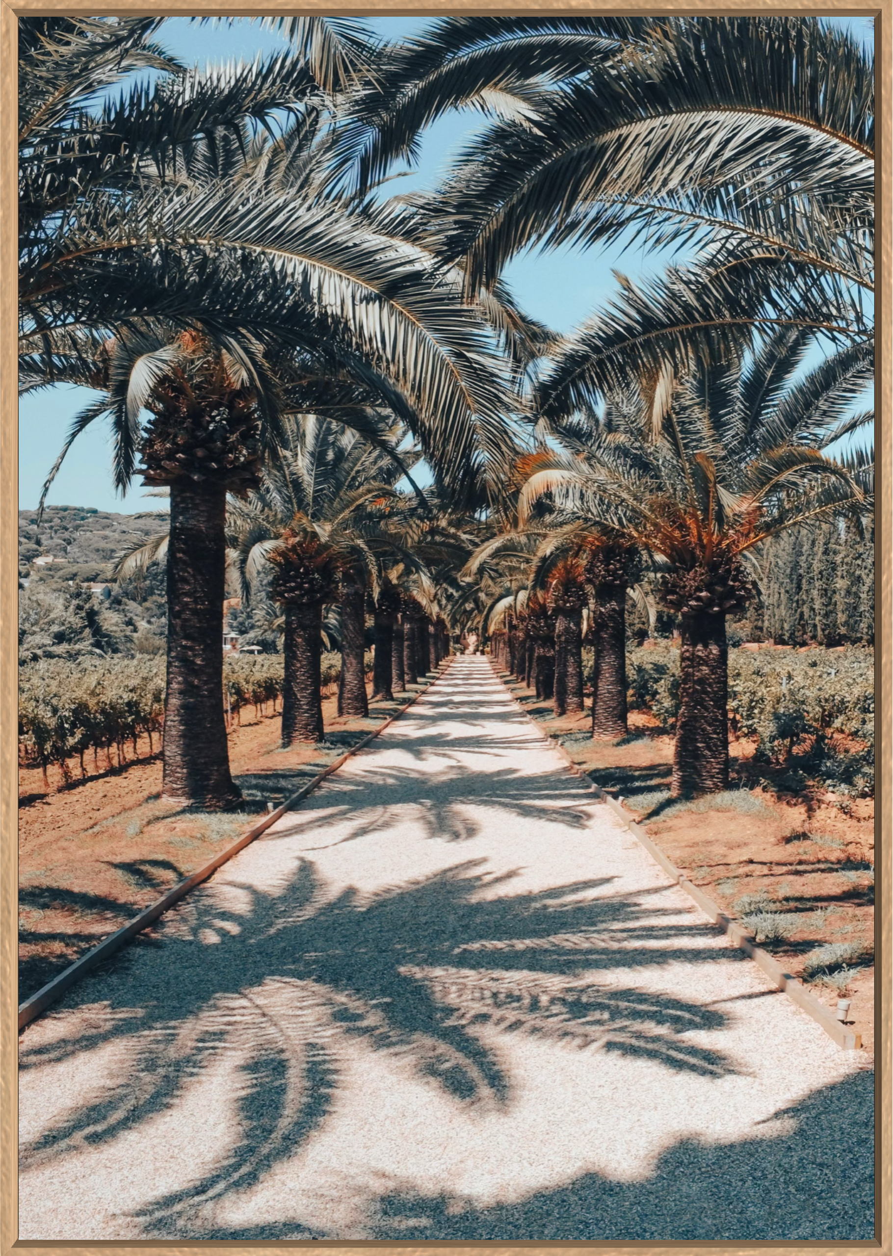 SHADOW PLAY 2 Available in Print Only 100x70cm