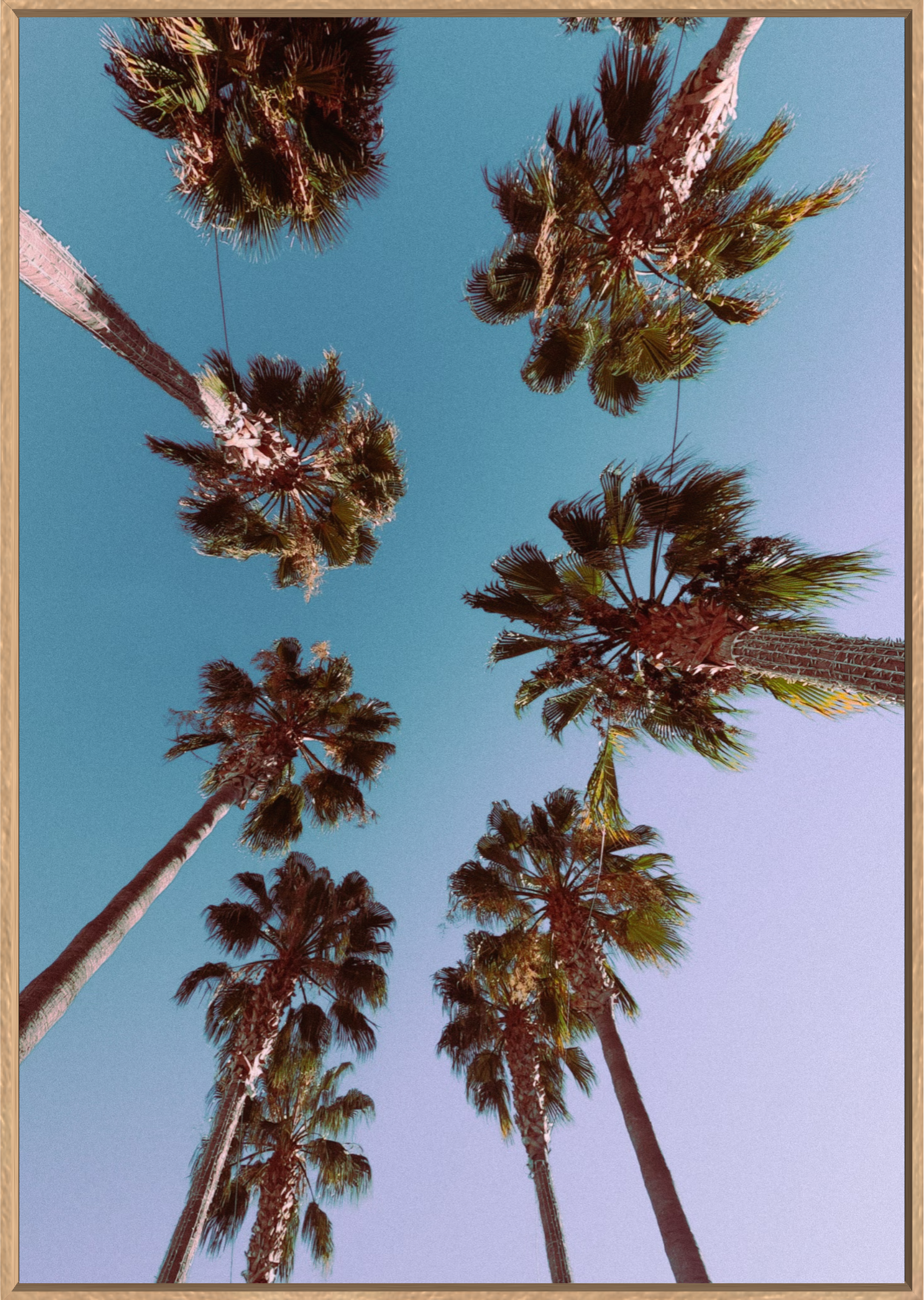 LOOK UP! from 195€