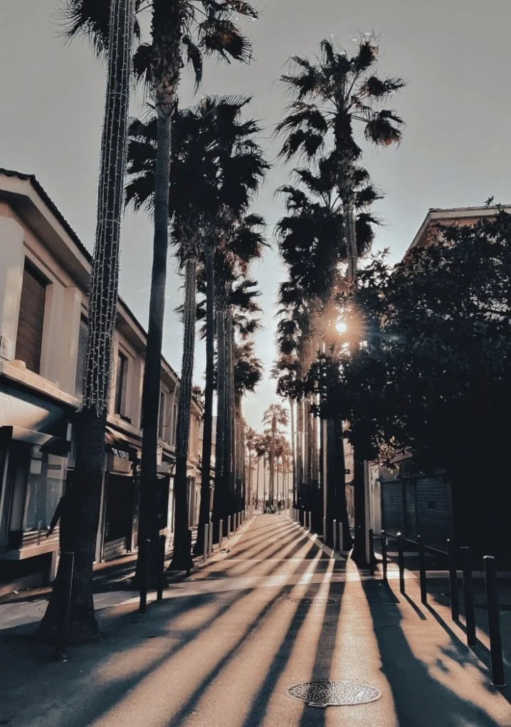 SHADOW PLAY
from 195€