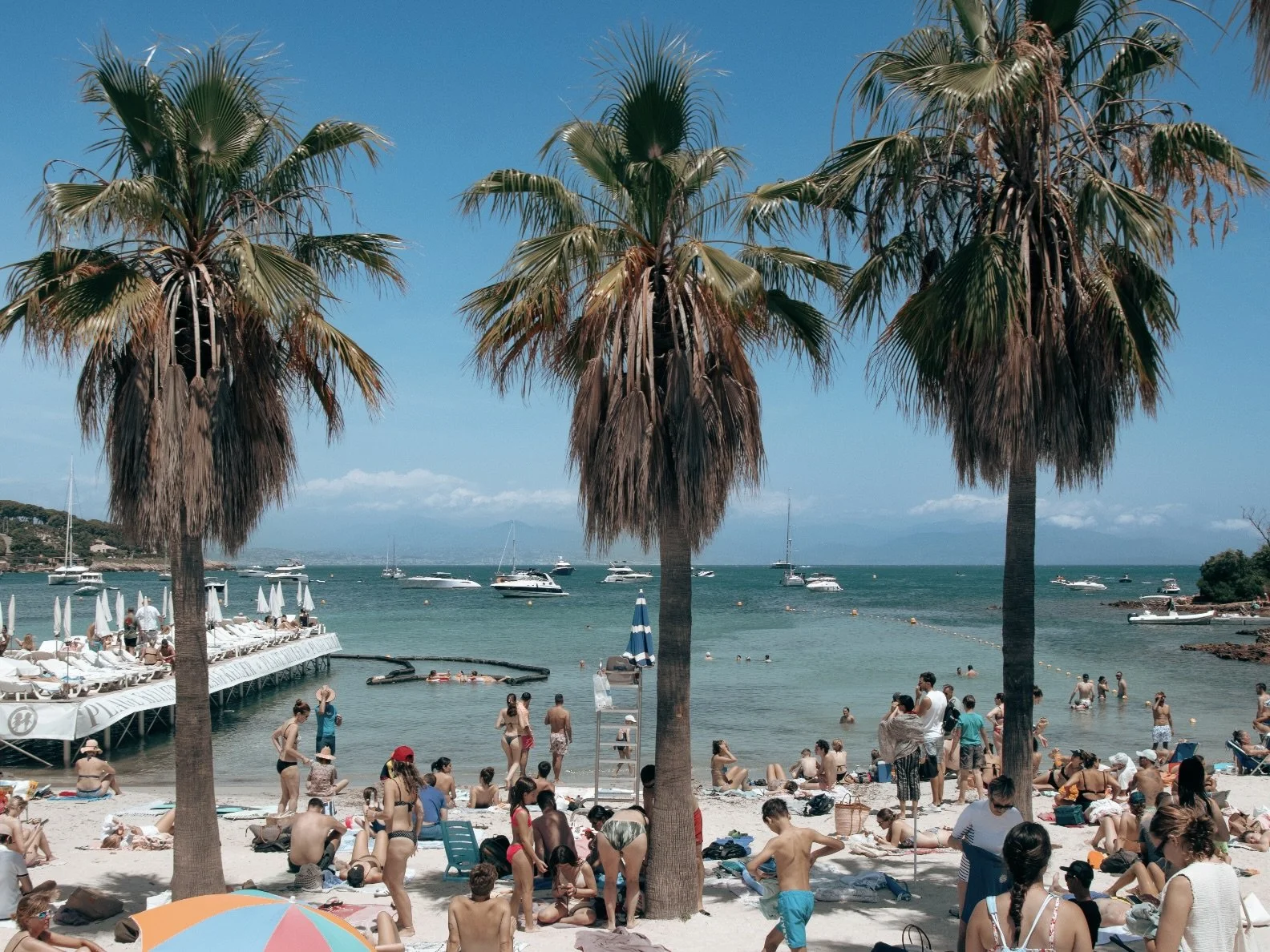 KELLER PALMS from 195€