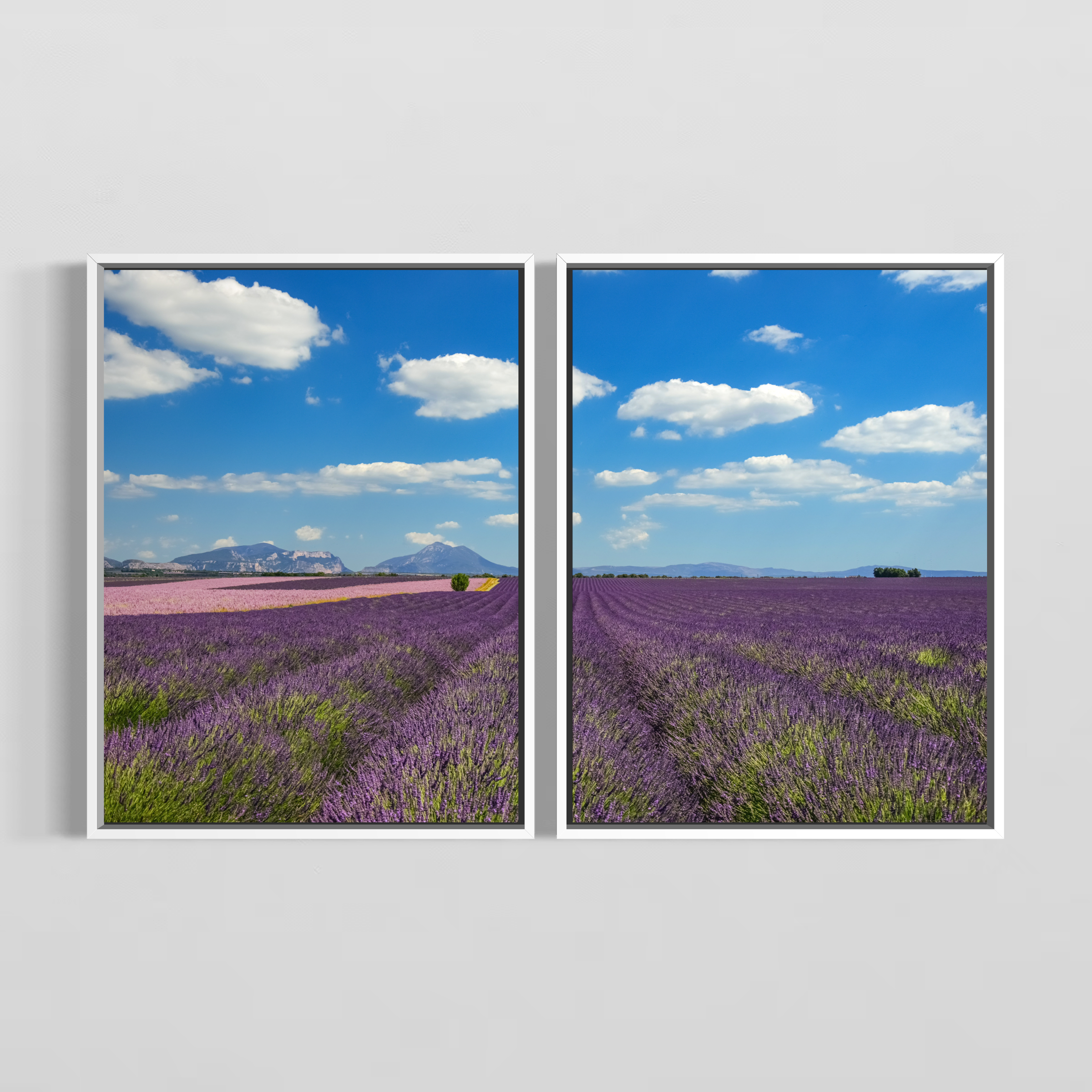 LAVENDER FIELDS from 195€ each