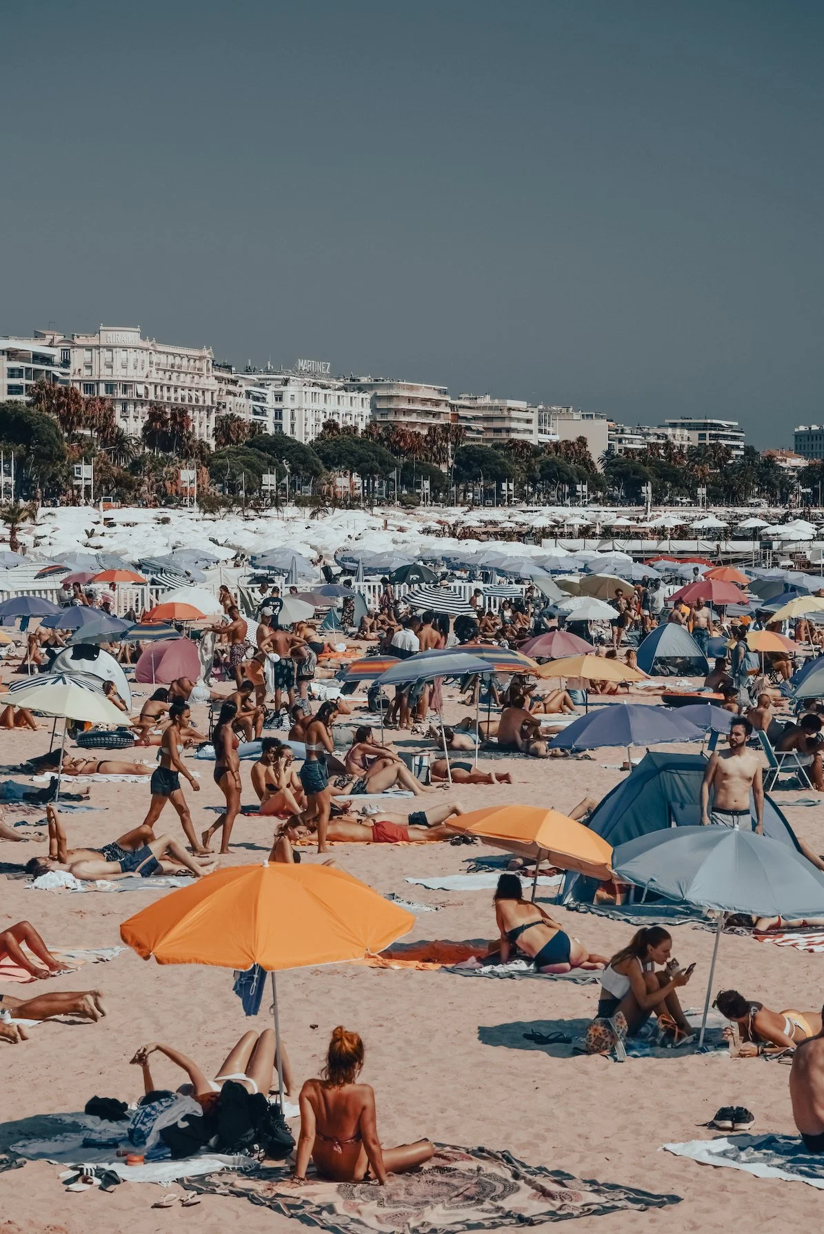 AUGUST, CANNES
from 195€