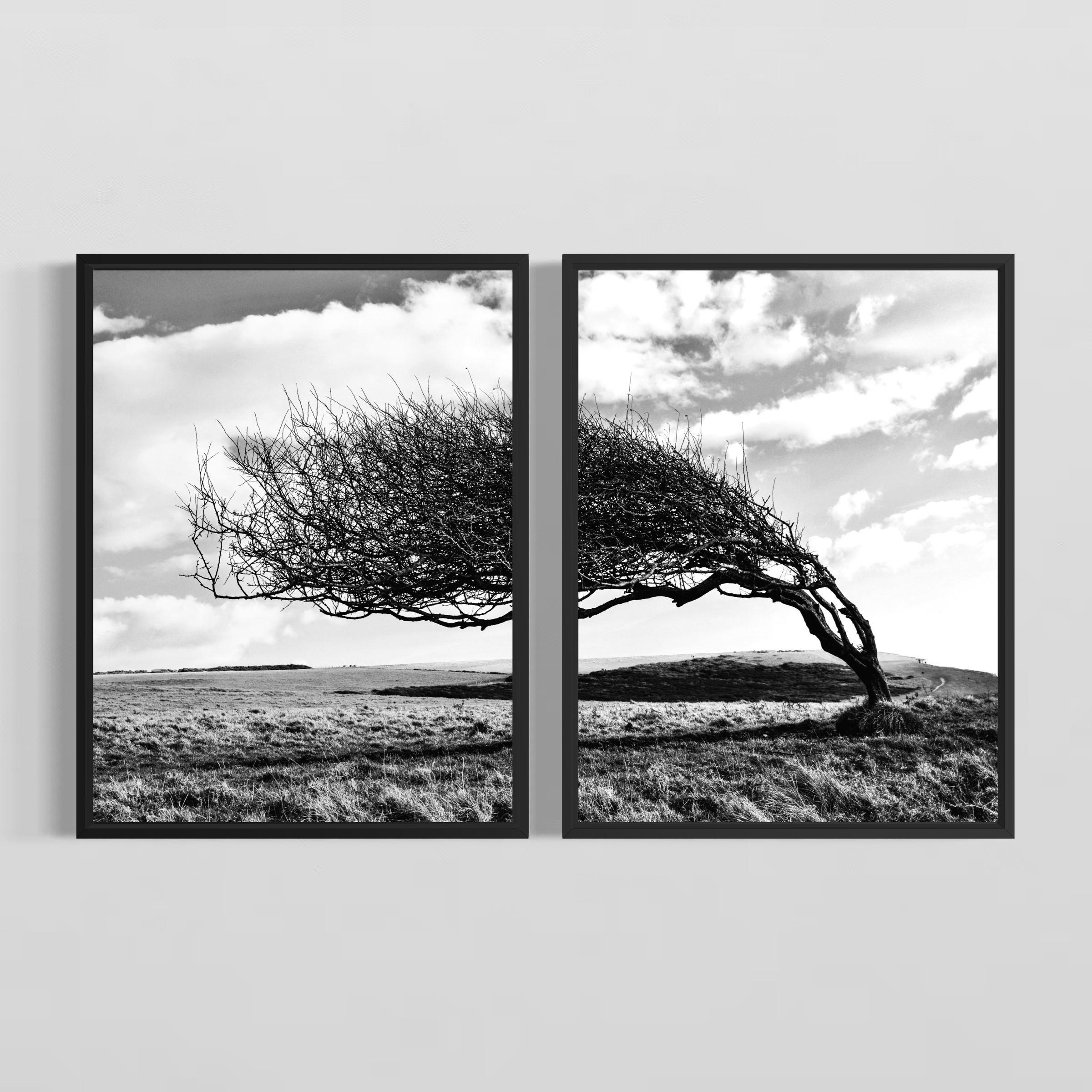 WIND x LIGHT from 195€ each