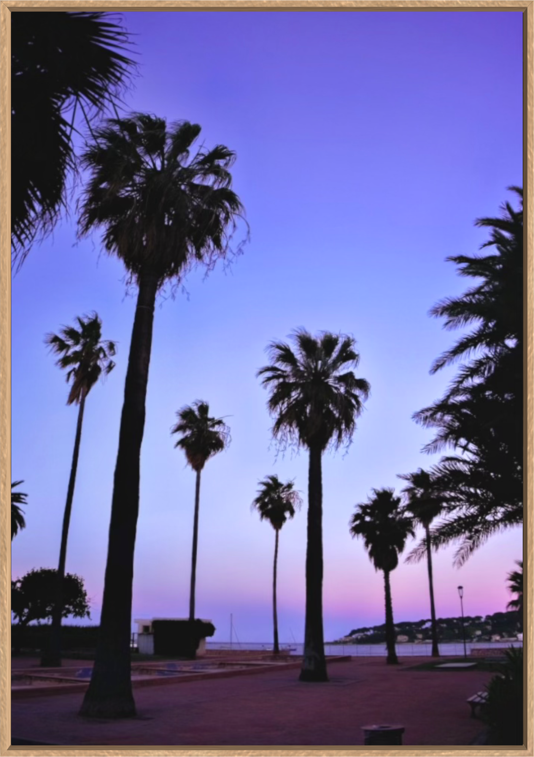 PURPLE PALMS Available in Print Only 100x70cm