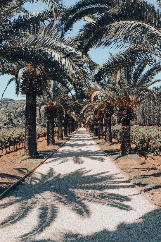 SHADOW PLAY 2
from 195€