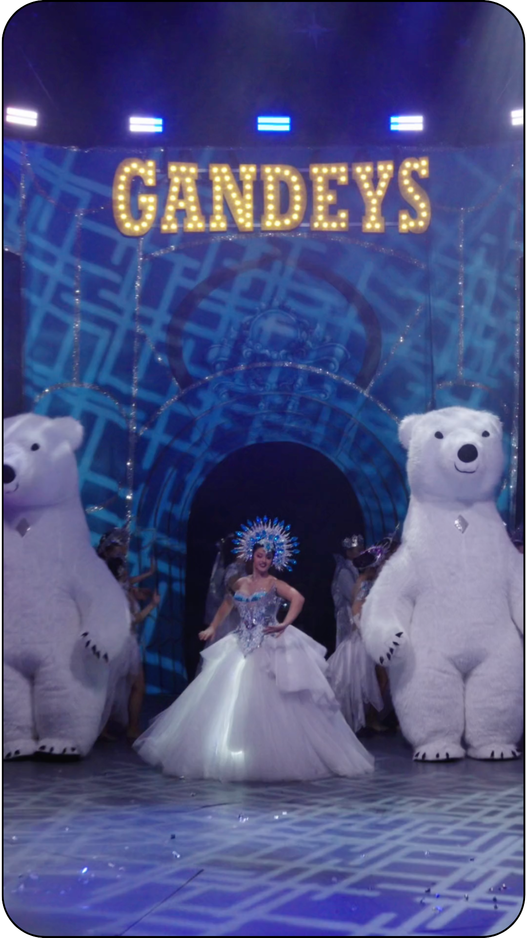  
The World Circus 2026 Promotion
 
